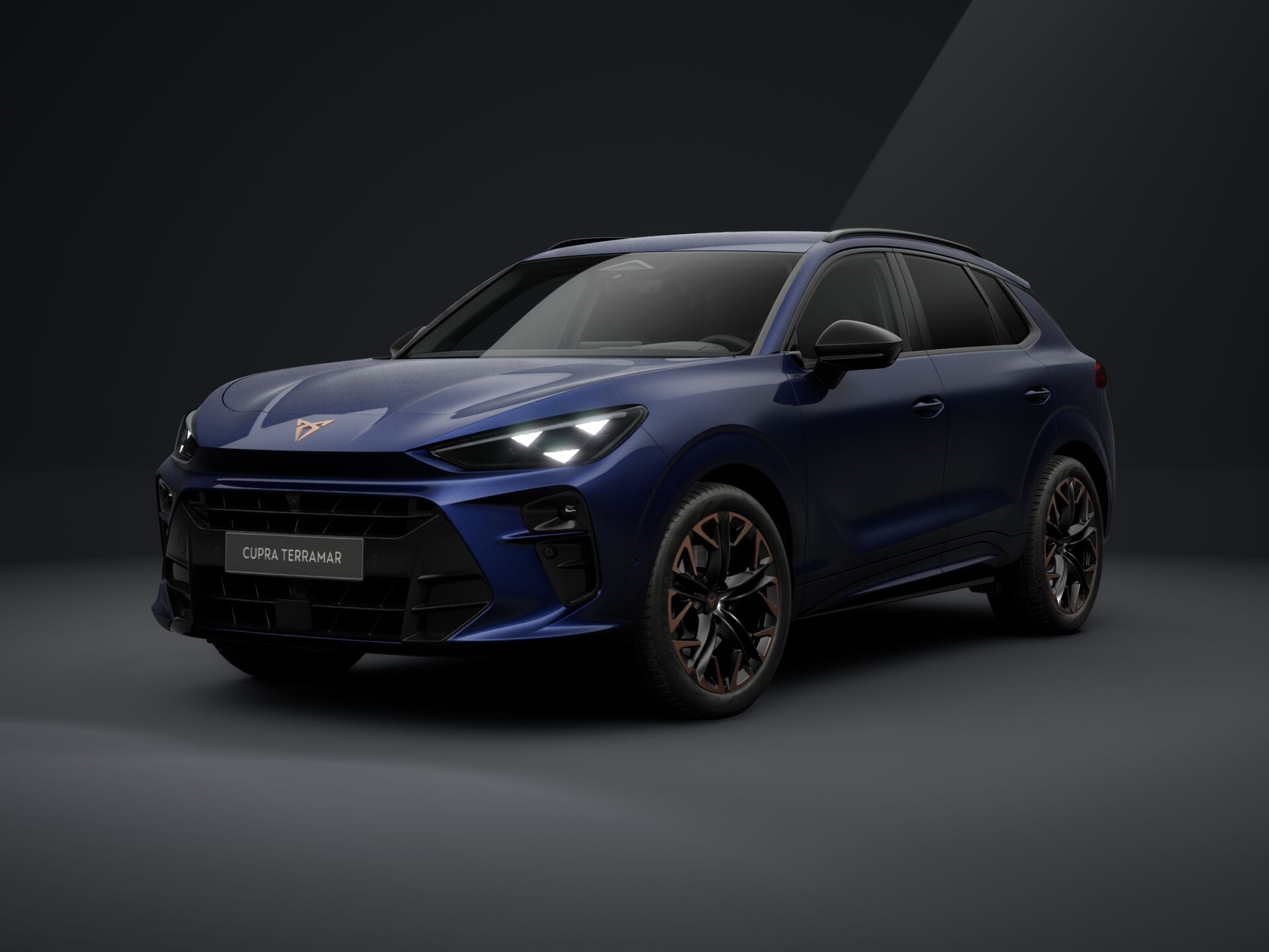 Obrázek Terramar 2.0 TSI 204k DSG 4WD