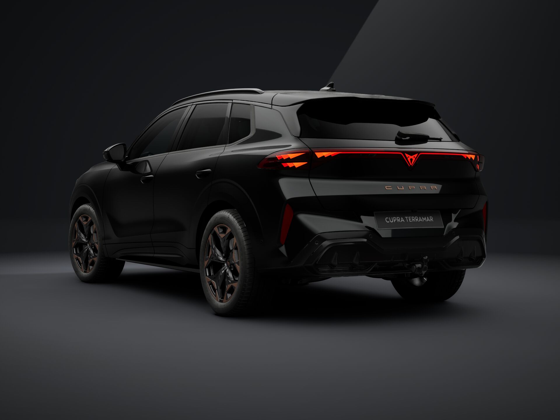 Obrázek Terramar 2.0 TSI 204k DSG 4WD