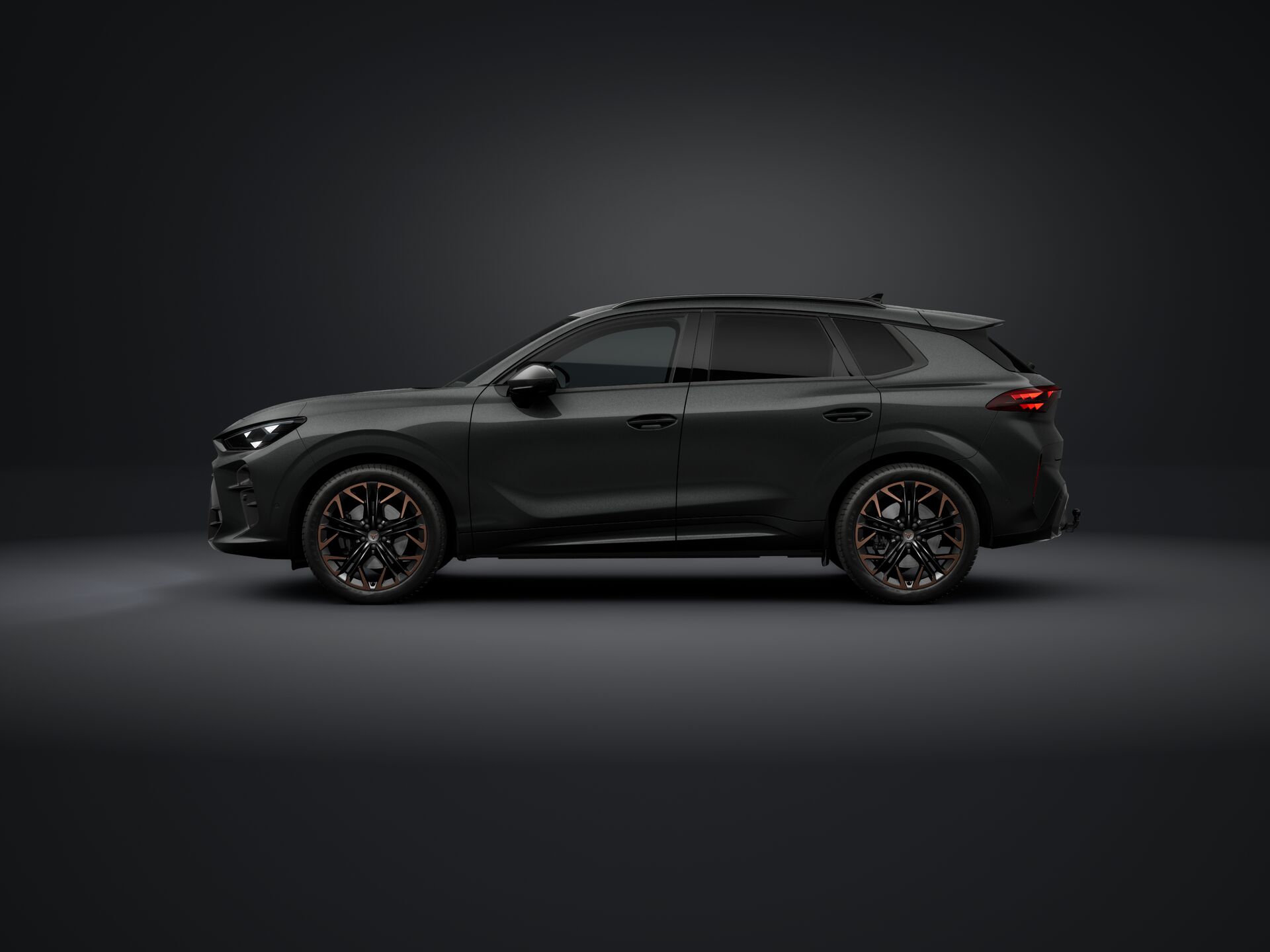 Obrázek Terramar VZ 2.0 TSI 265k DSG 4WD