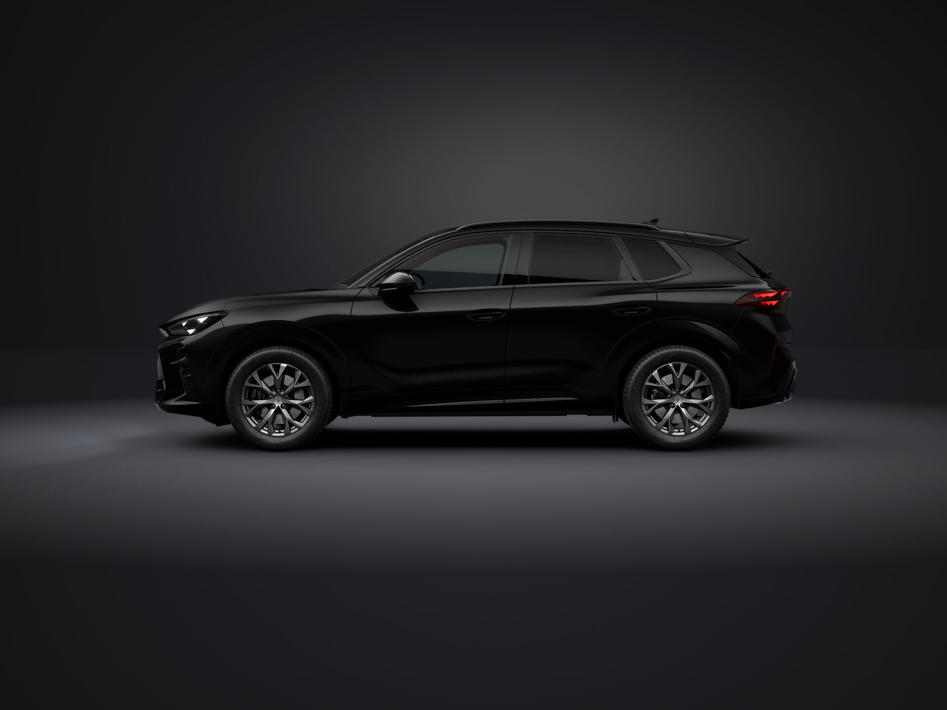 Obrázek Terramar 2.0 TSI 204k DSG 4WD