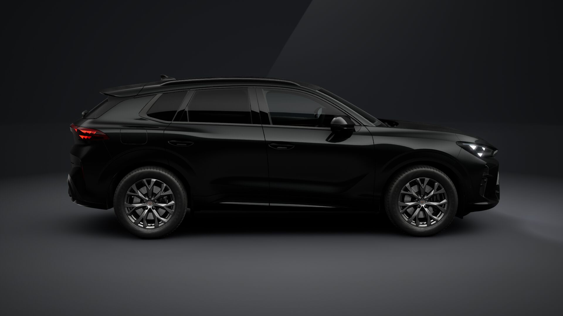 Obrázek Terramar 2.0 TSI 204k DSG 4WD