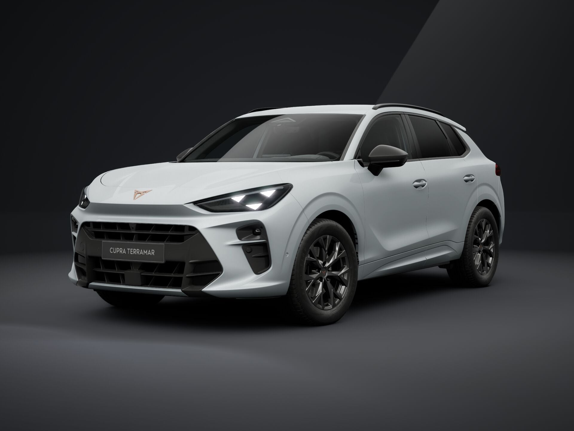 Obrázek Terramar 2.0 TSI 204k DSG 4WD