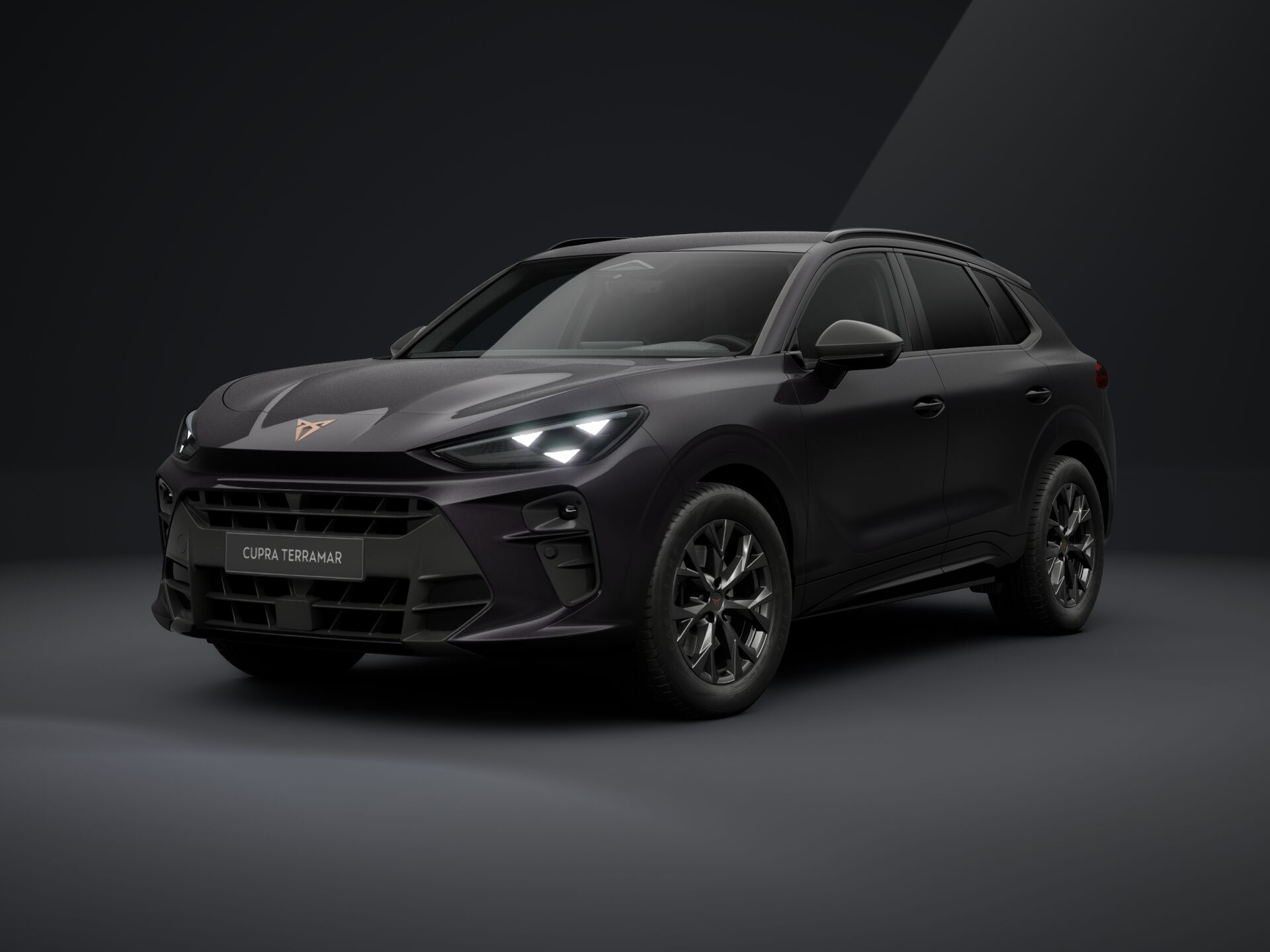 Obrázek Terramar 2.0 TSI 204k DSG 4WD