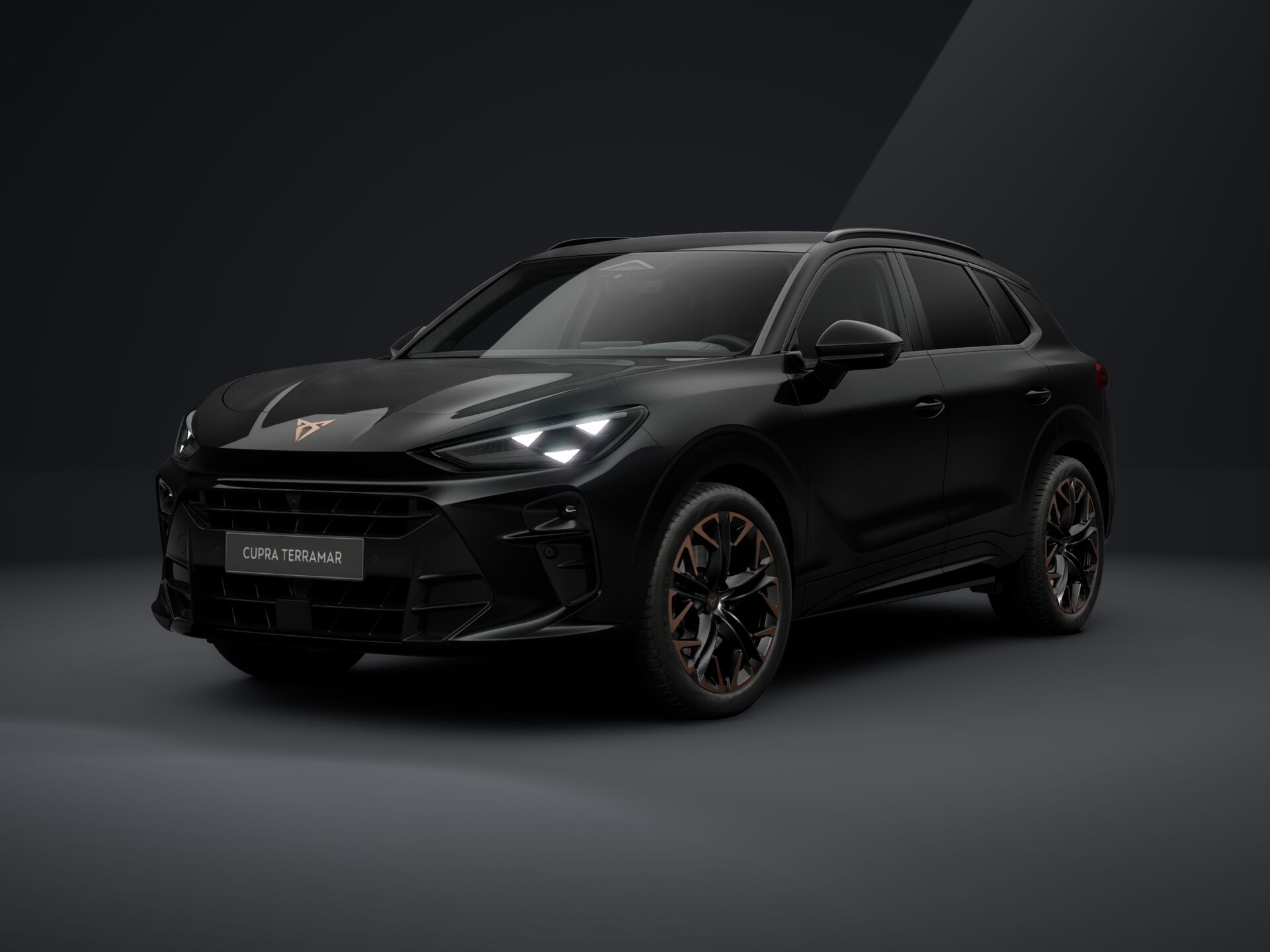 Obrázek Terramar 2.0 TSI 204k DSG 4WD