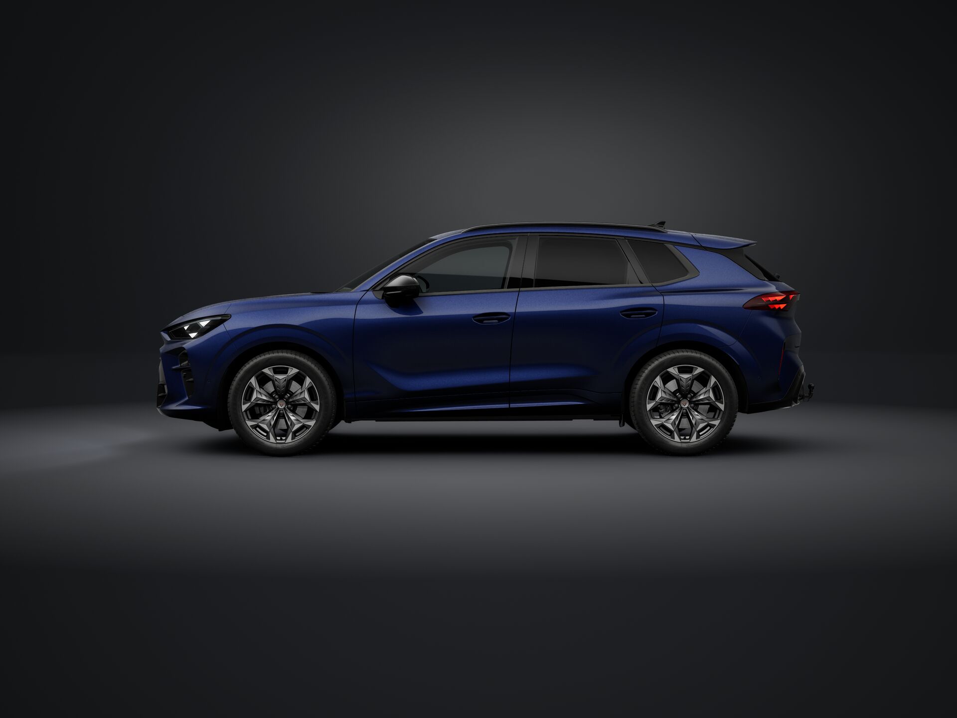 Obrázek Terramar 2.0 TSI 204k DSG 4WD