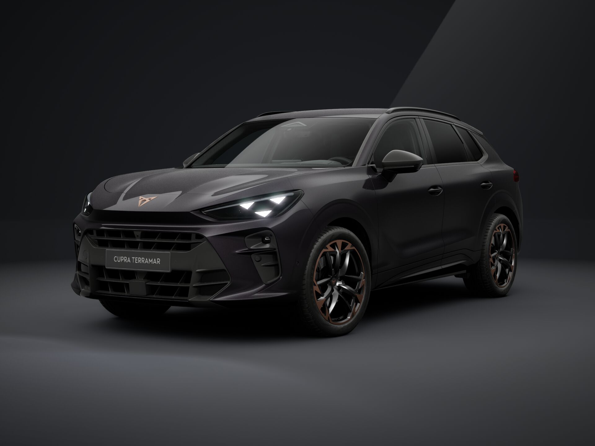 Obrázek Terramar VZ 2.0 TSI 265k DSG 4WD