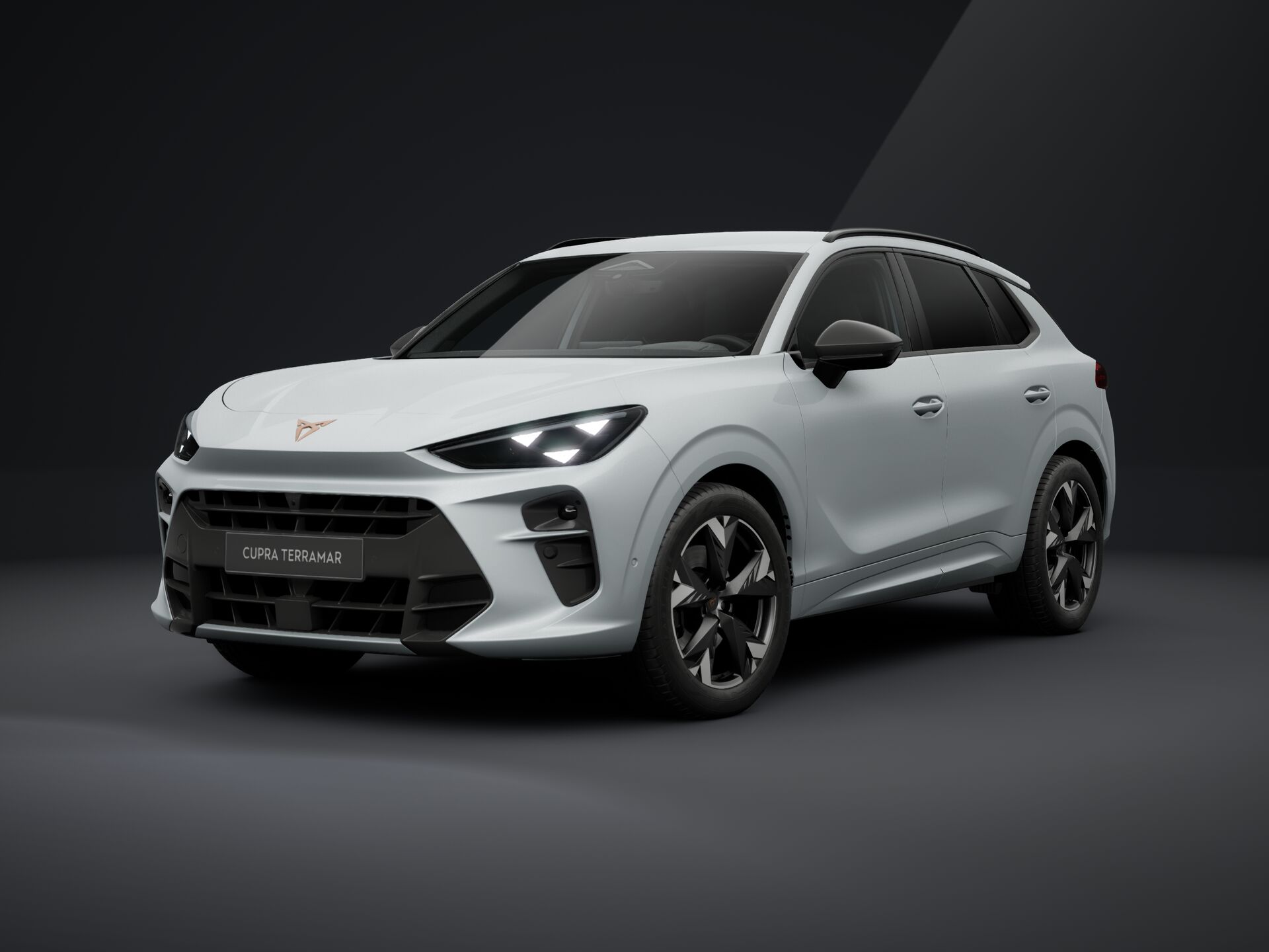 Obrázek Terramar 2.0 TSI 204k DSG 4WD