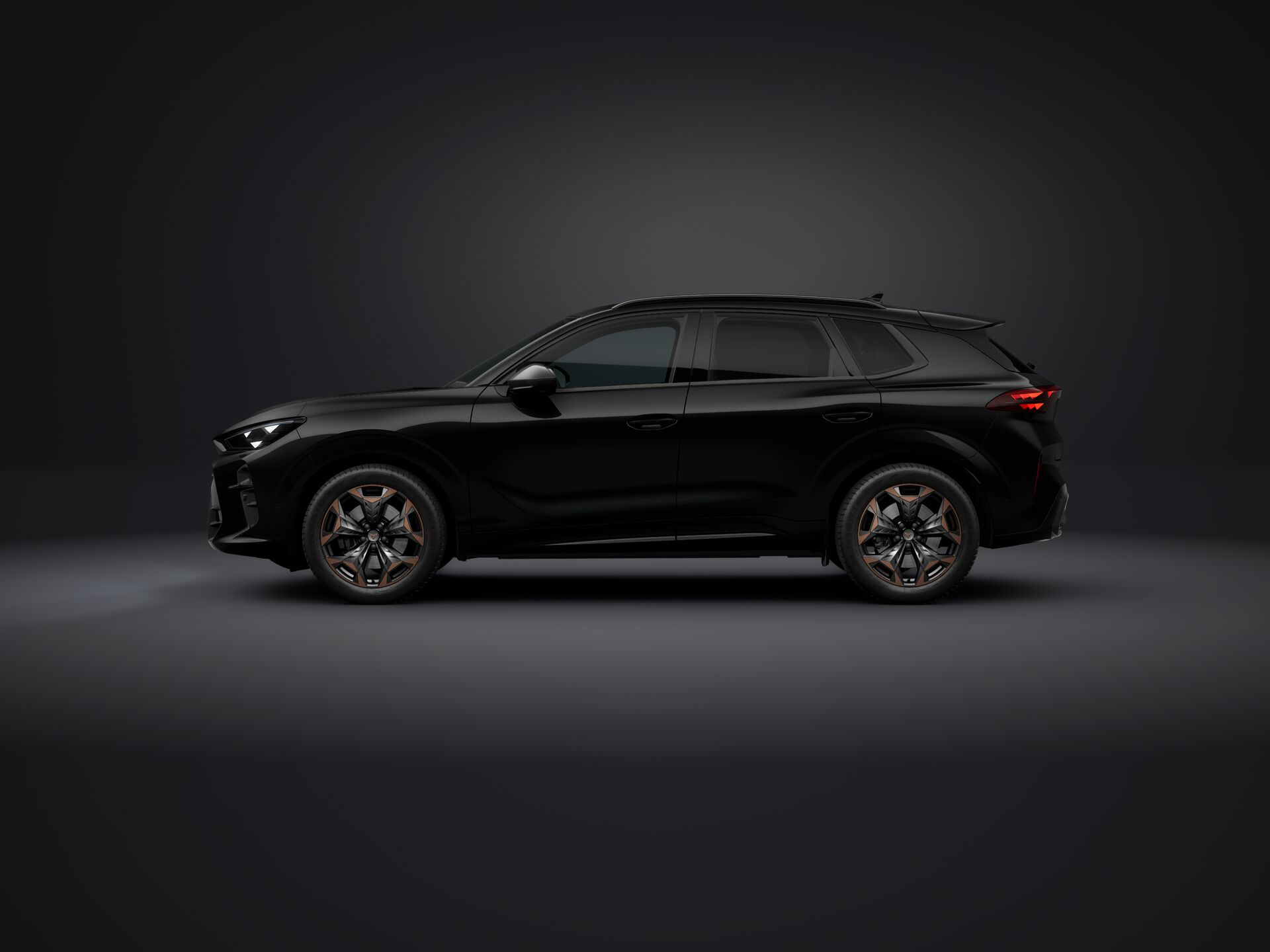 Obrázek Terramar 2.0 TSI 204k DSG 4WD