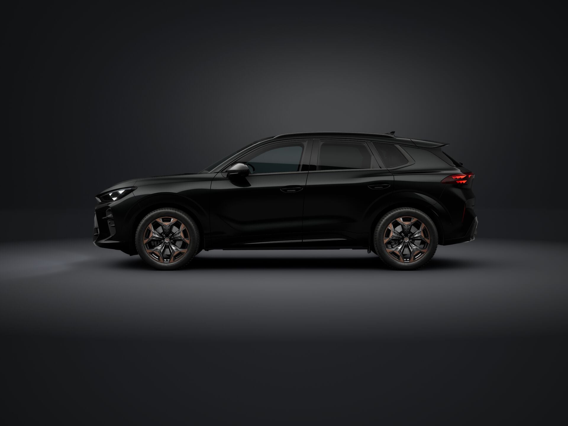 Obrázek Terramar 2.0 TSI 204k DSG 4WD