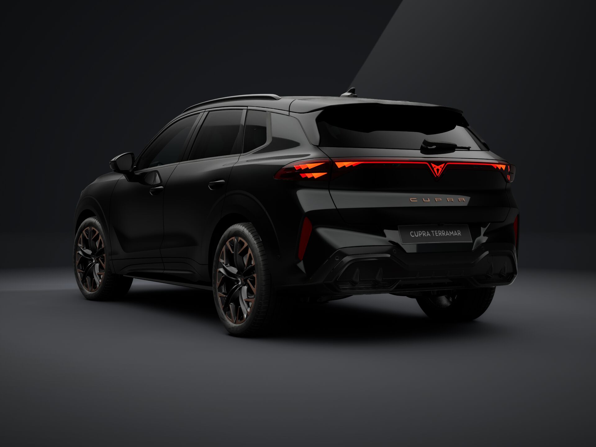 Obrázek Terramar 2.0 TSI 204k DSG 4WD