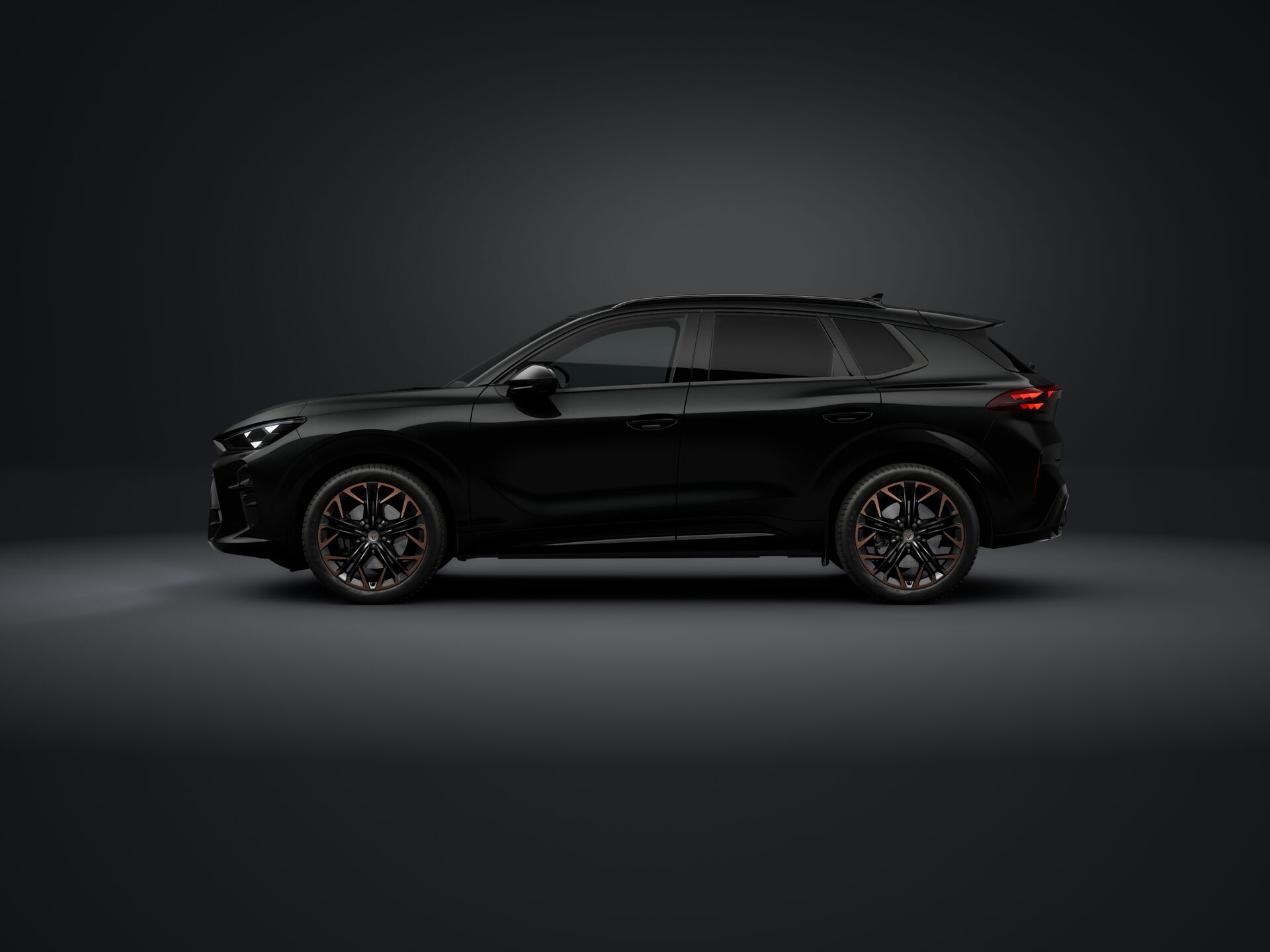 Obrázek Terramar 2.0 TSI 204k DSG 4WD