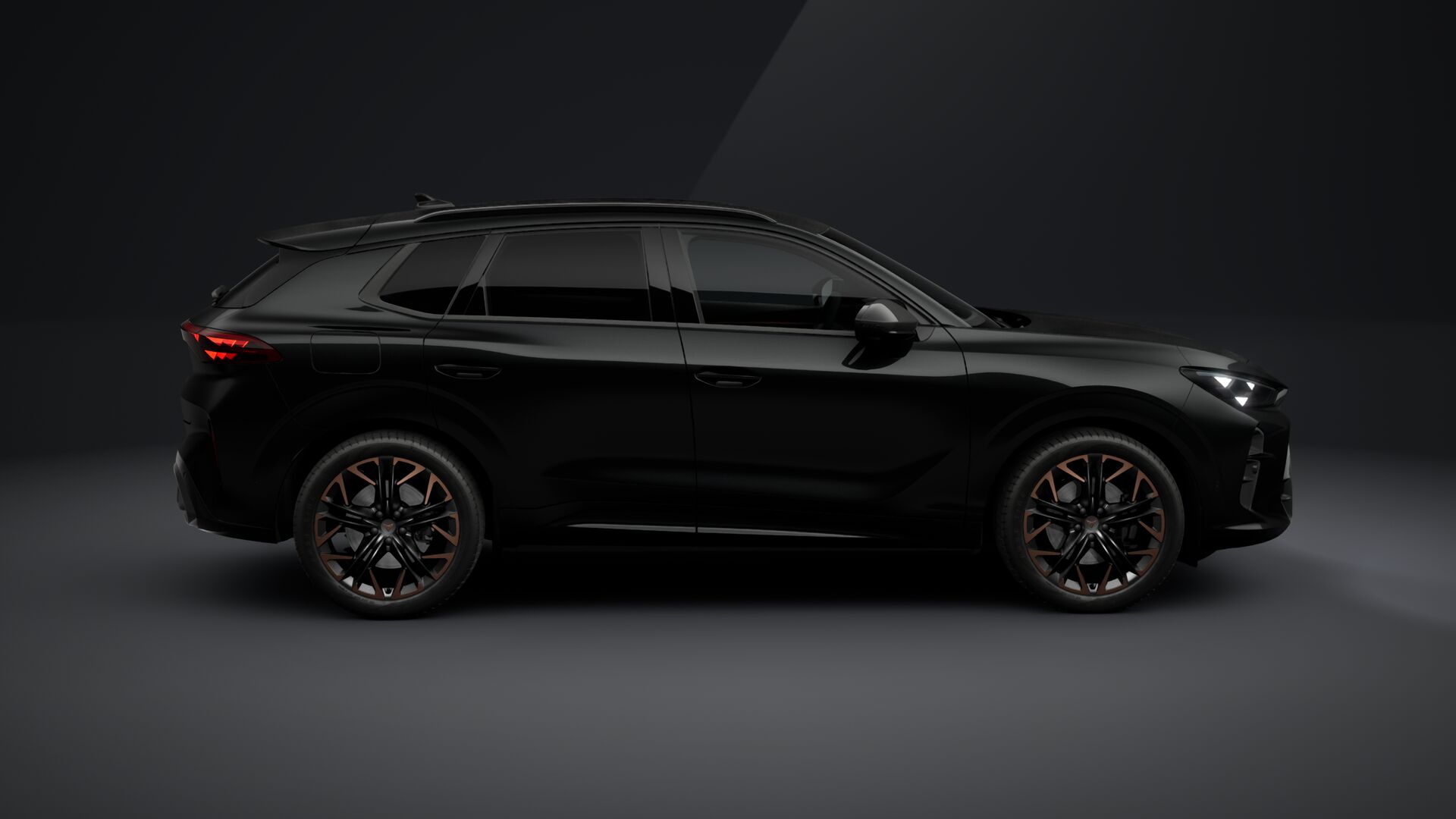 Obrázek Terramar 2.0 TSI 204k DSG 4WD