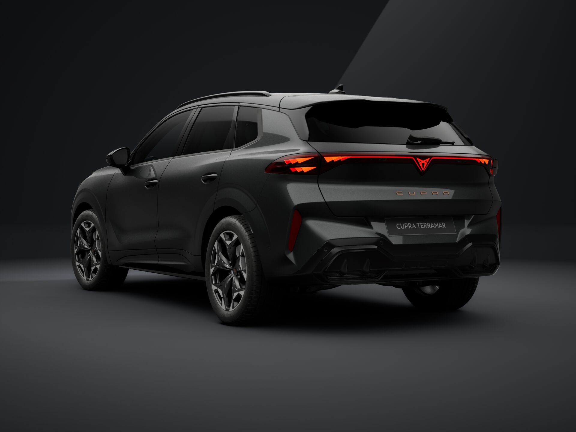 Obrázek Terramar 2.0 TSI 204k DSG 4WD