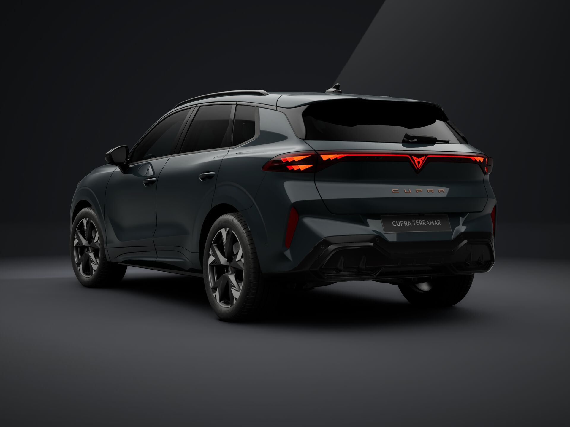 Obrázek Terramar 2.0 TSI 204k DSG 4WD