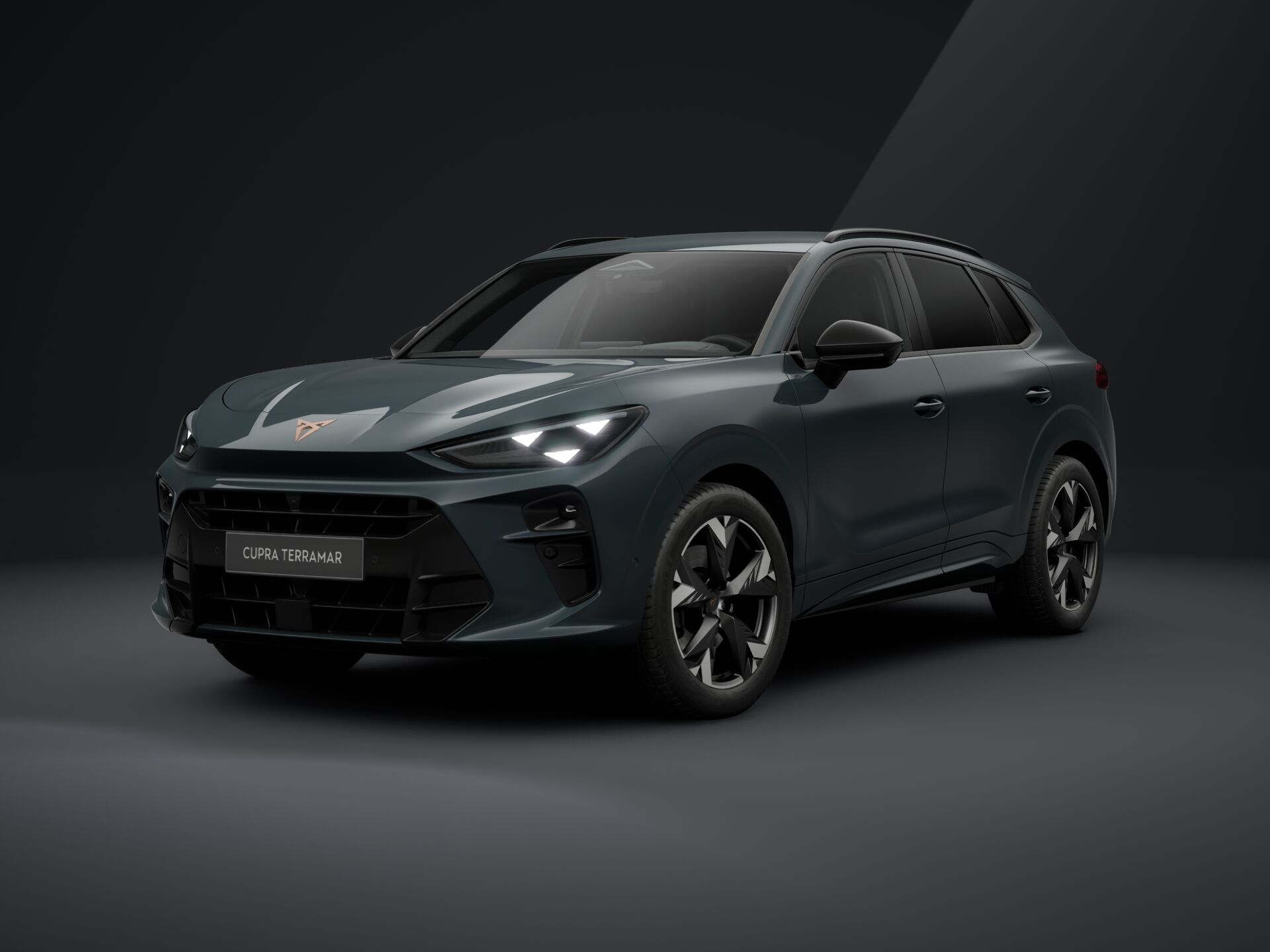 Obrázek Terramar 2.0 TSI 204k DSG 4WD