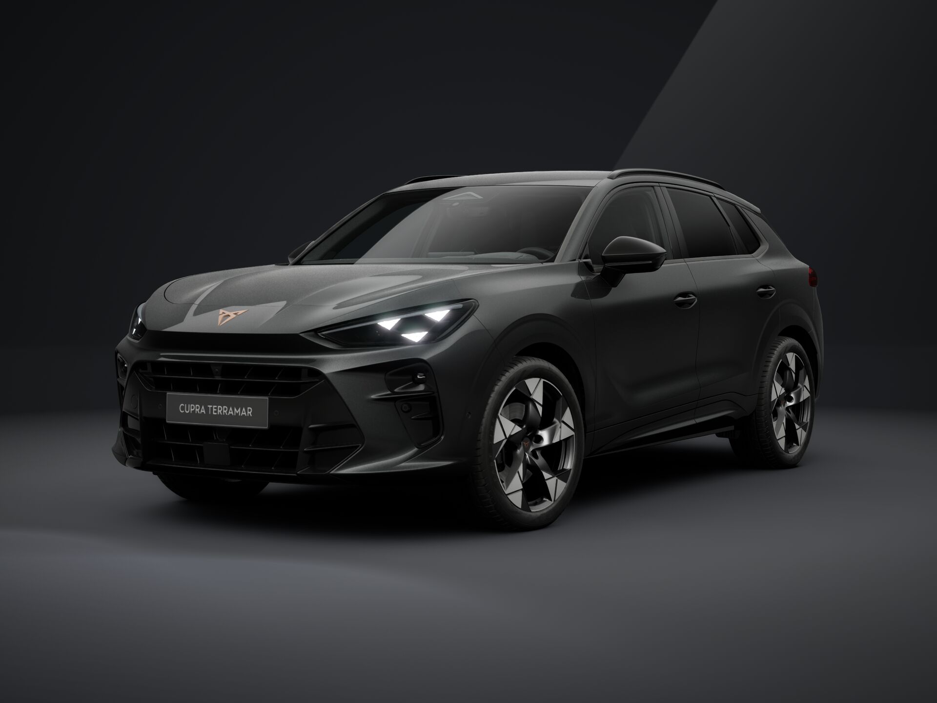 Obrázek Terramar 2.0 TSI 204k DSG 4WD
