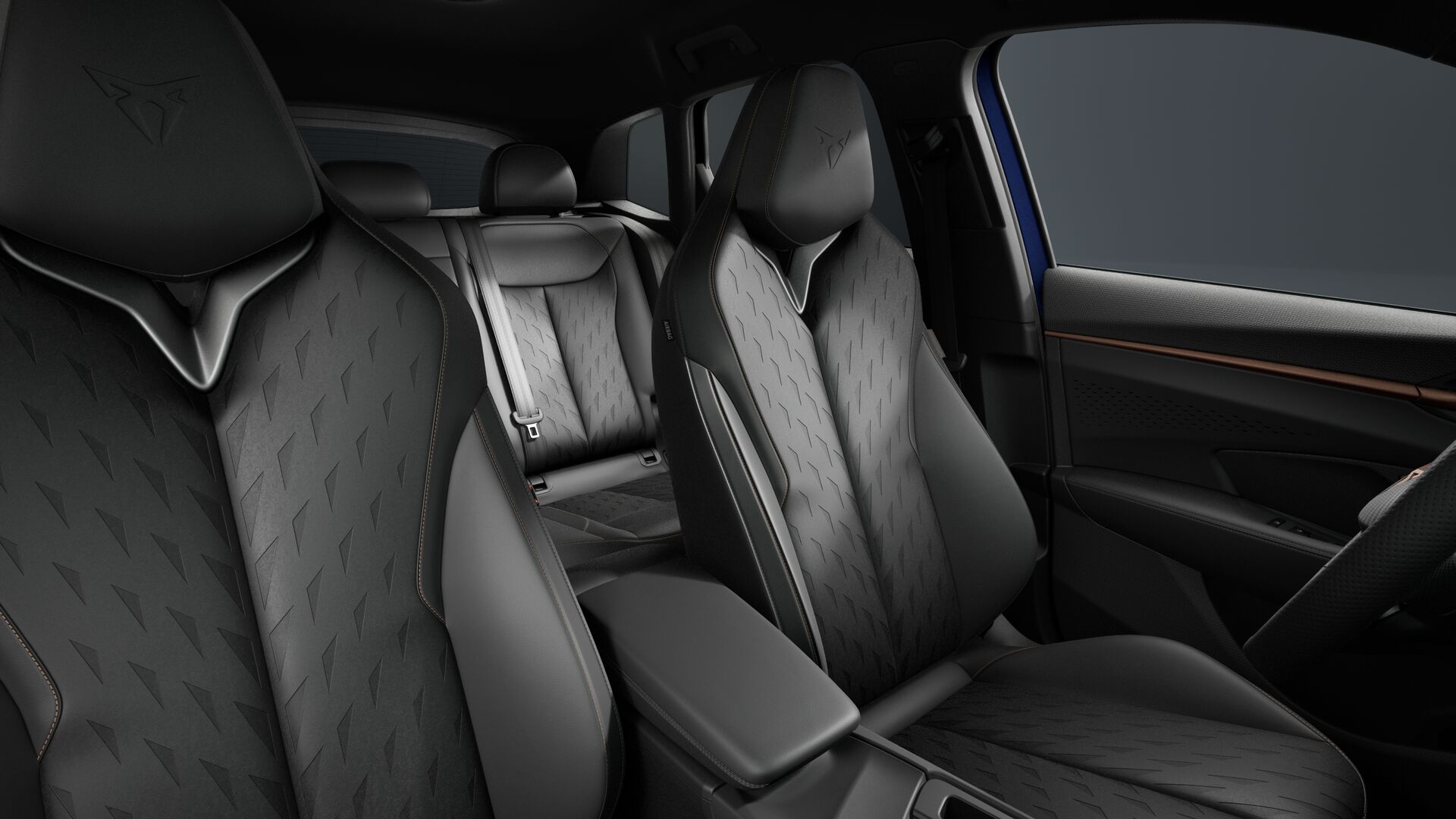 Obrázek Terramar VZ 2.0 TSI 265k DSG 4WD