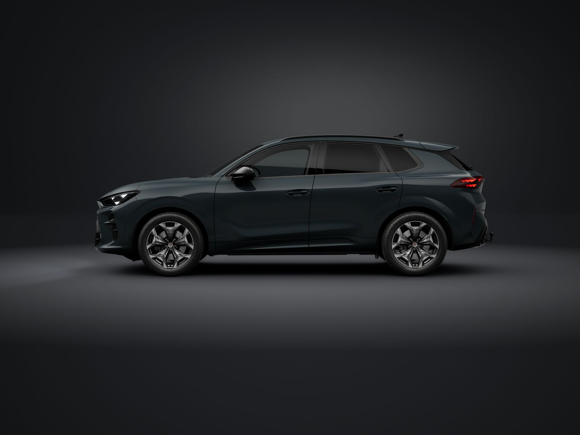 Obrázek Terramar 2.0 TSI 204k DSG 4WD