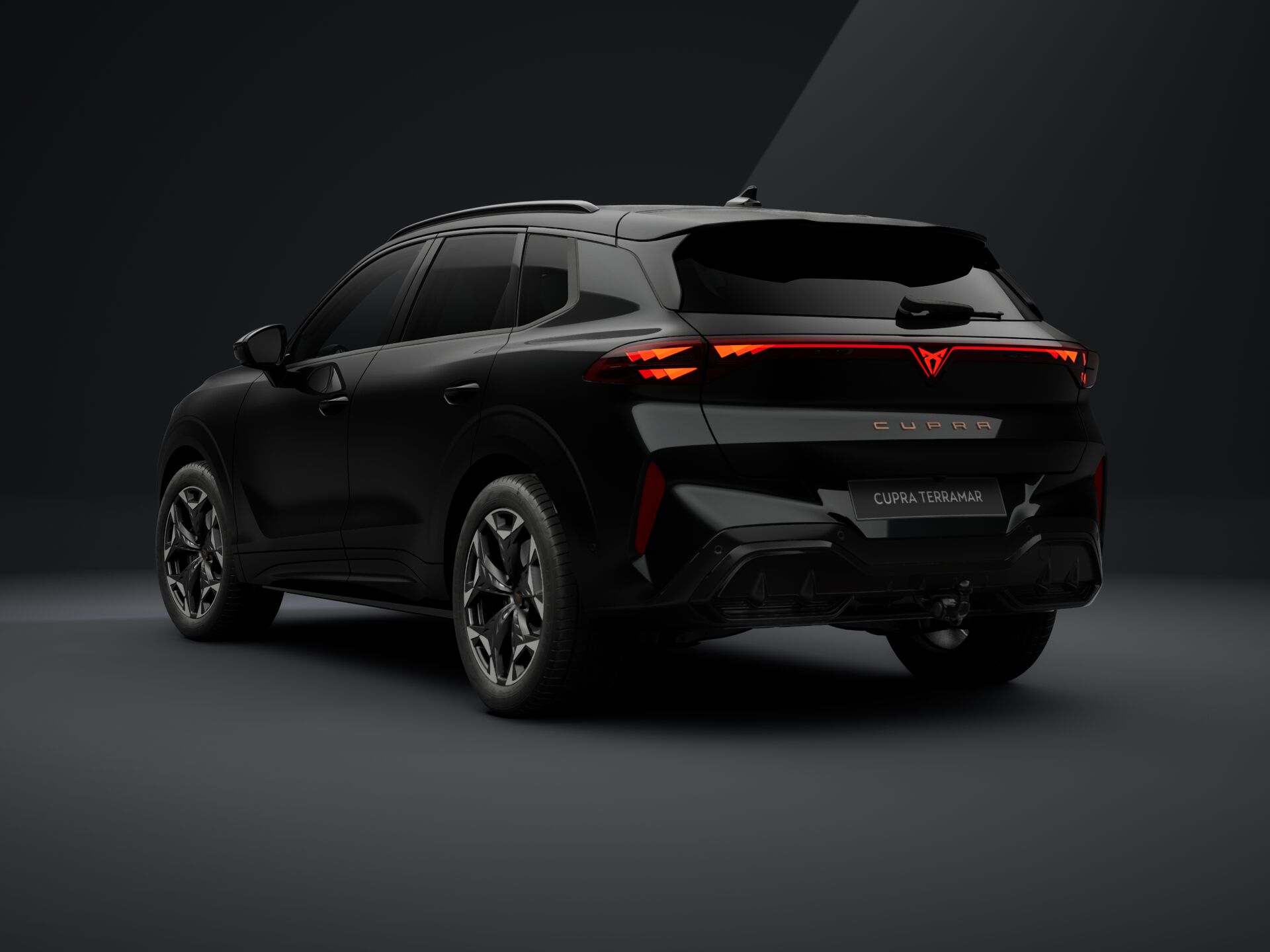 Obrázek Terramar 2.0 TSI 204k DSG 4WD