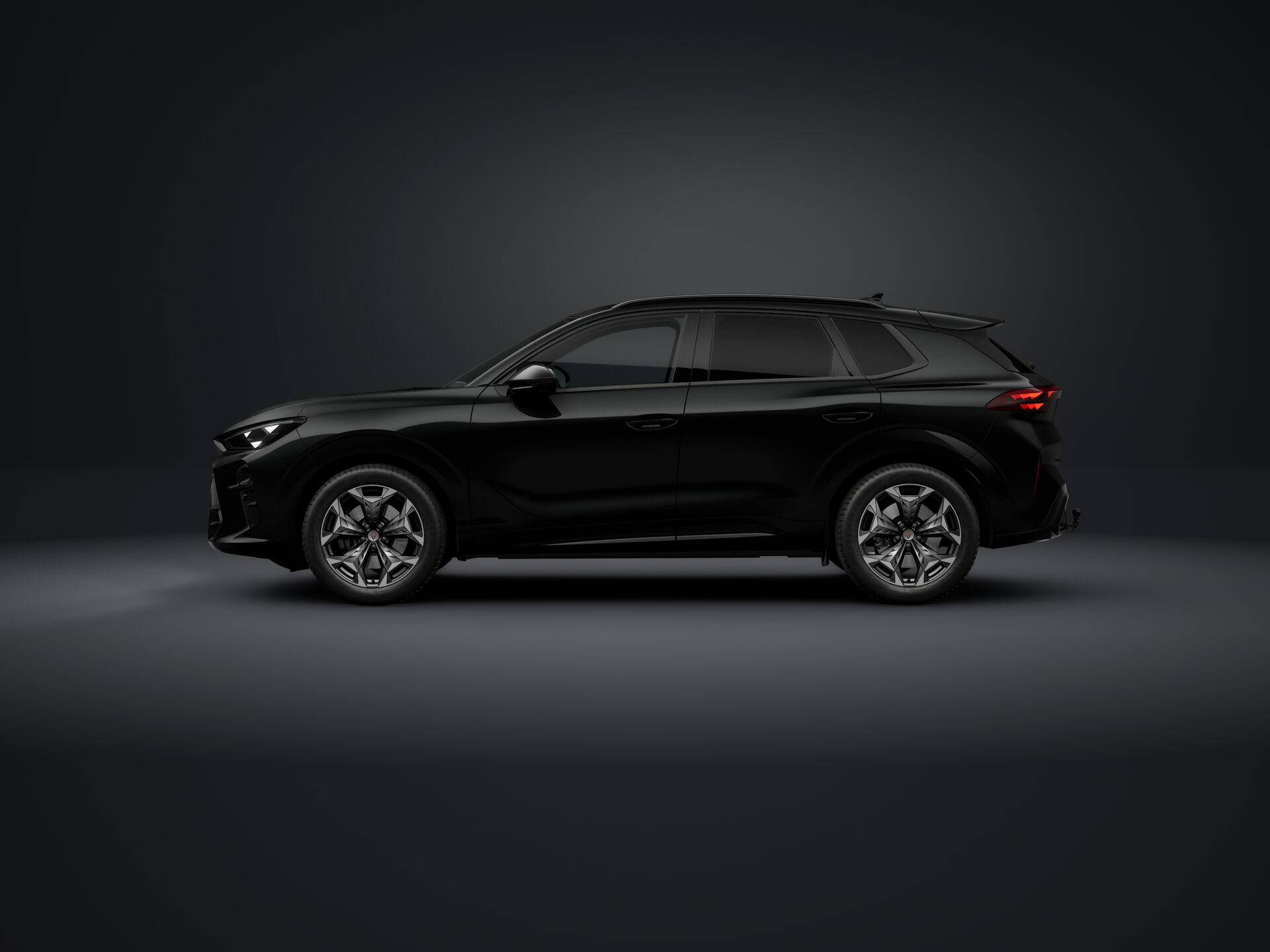 Obrázek Terramar 2.0 TSI 204k DSG 4WD