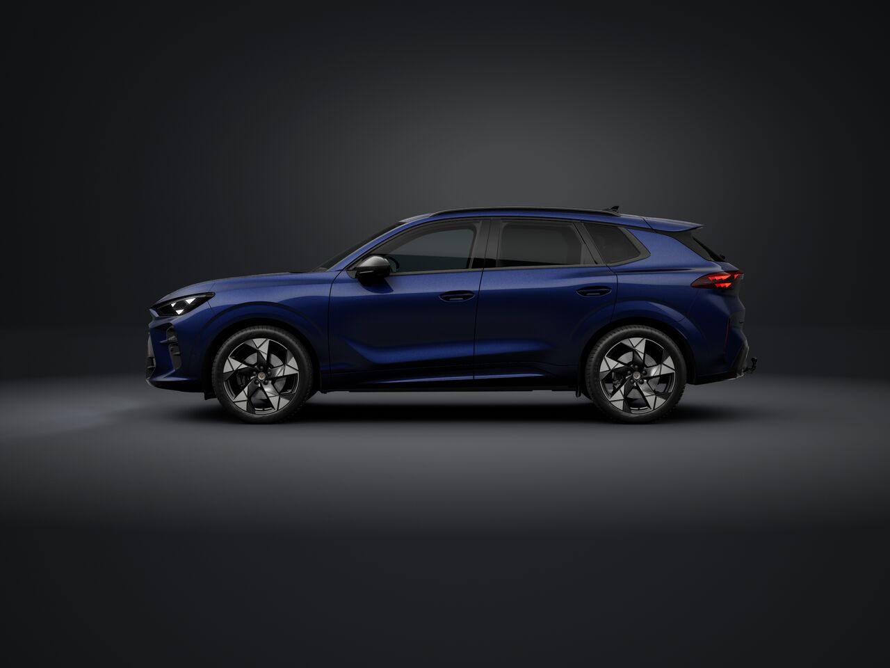 Obrázek Terramar 2.0 TSI 204k DSG 4WD