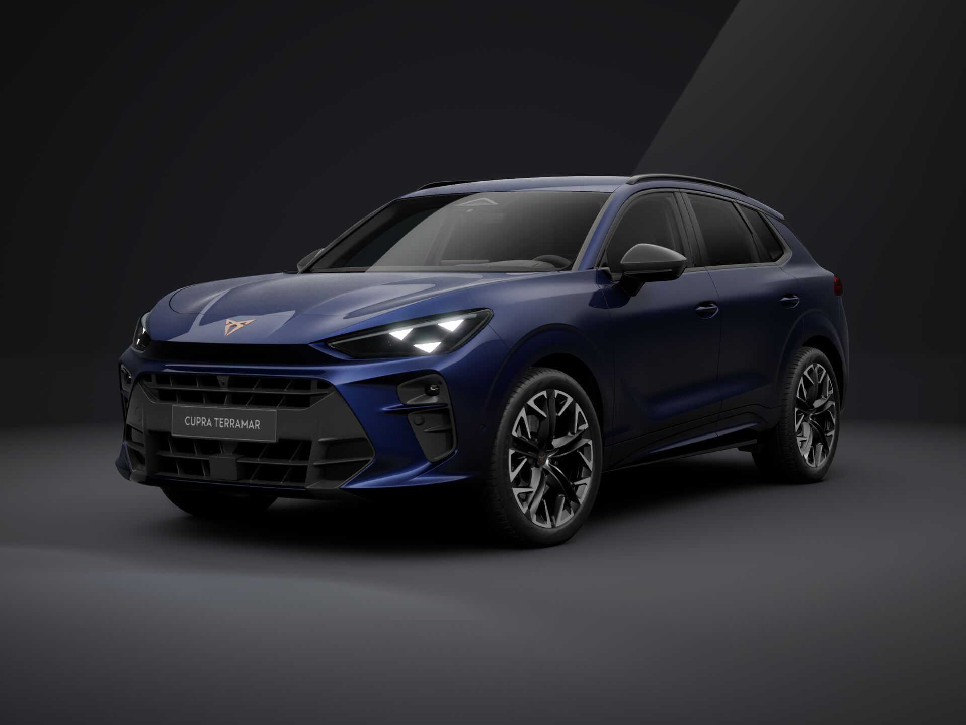 Obrázek Terramar 2.0 TSI 204k DSG 4WD