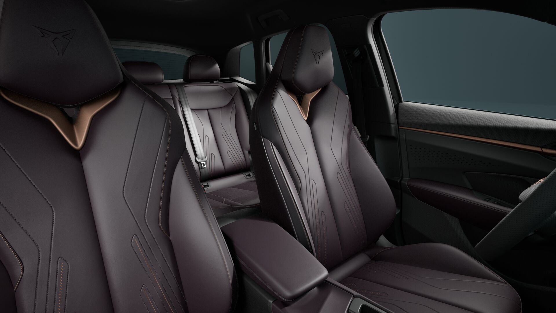 Obrázek Terramar VZ 2.0 TSI 265k DSG 4WD