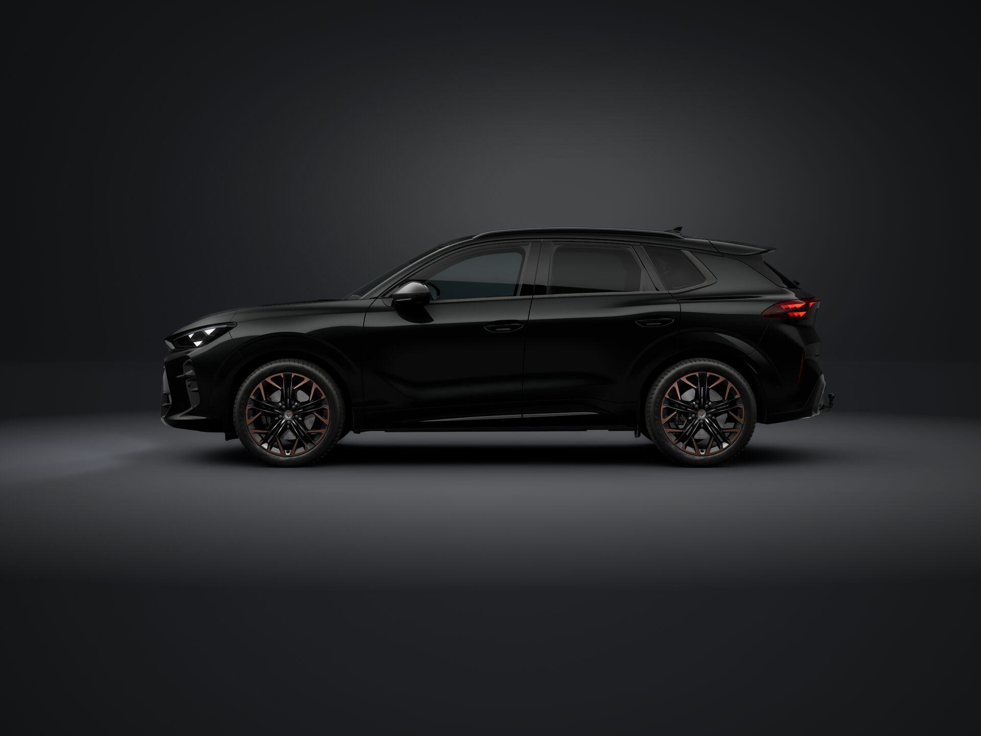 Obrázek Terramar VZ 2.0 TSI 265k DSG 4WD