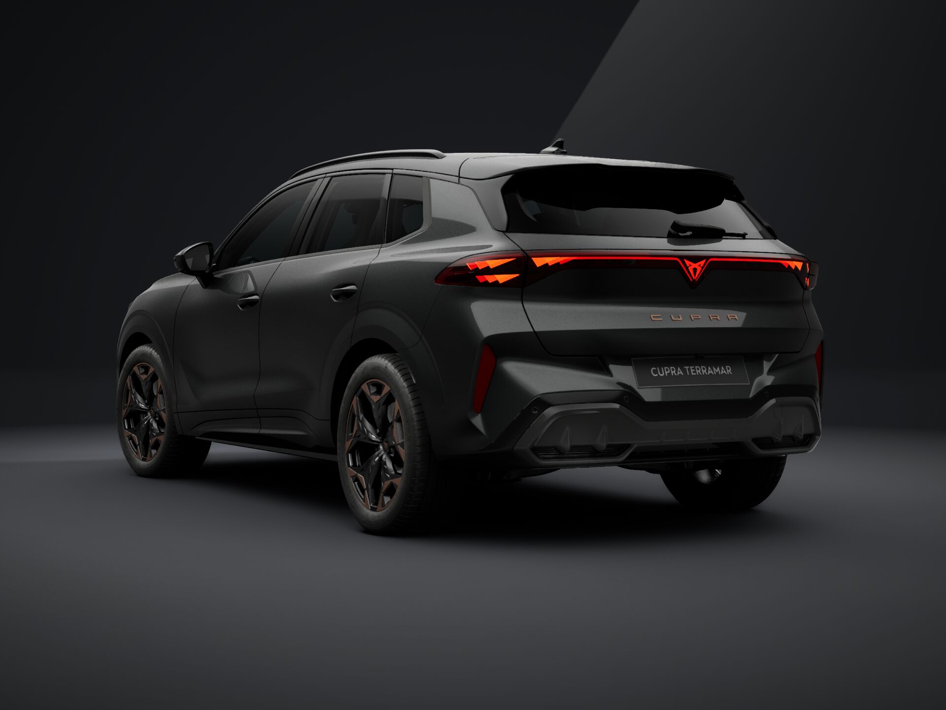 Obrázek Terramar 2.0 TSI 204k DSG 4WD