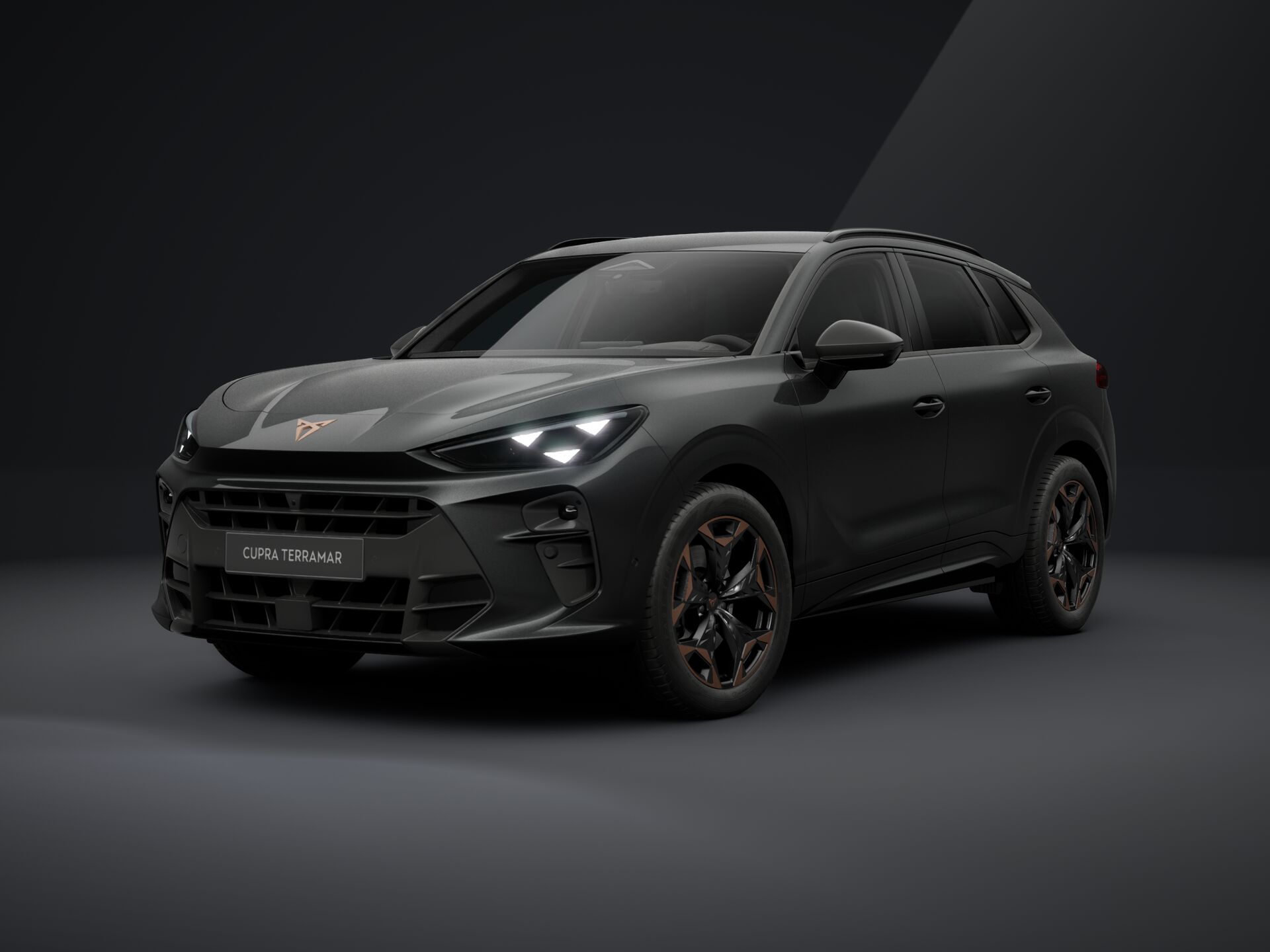 Obrázek Terramar 2.0 TSI 204k DSG 4WD