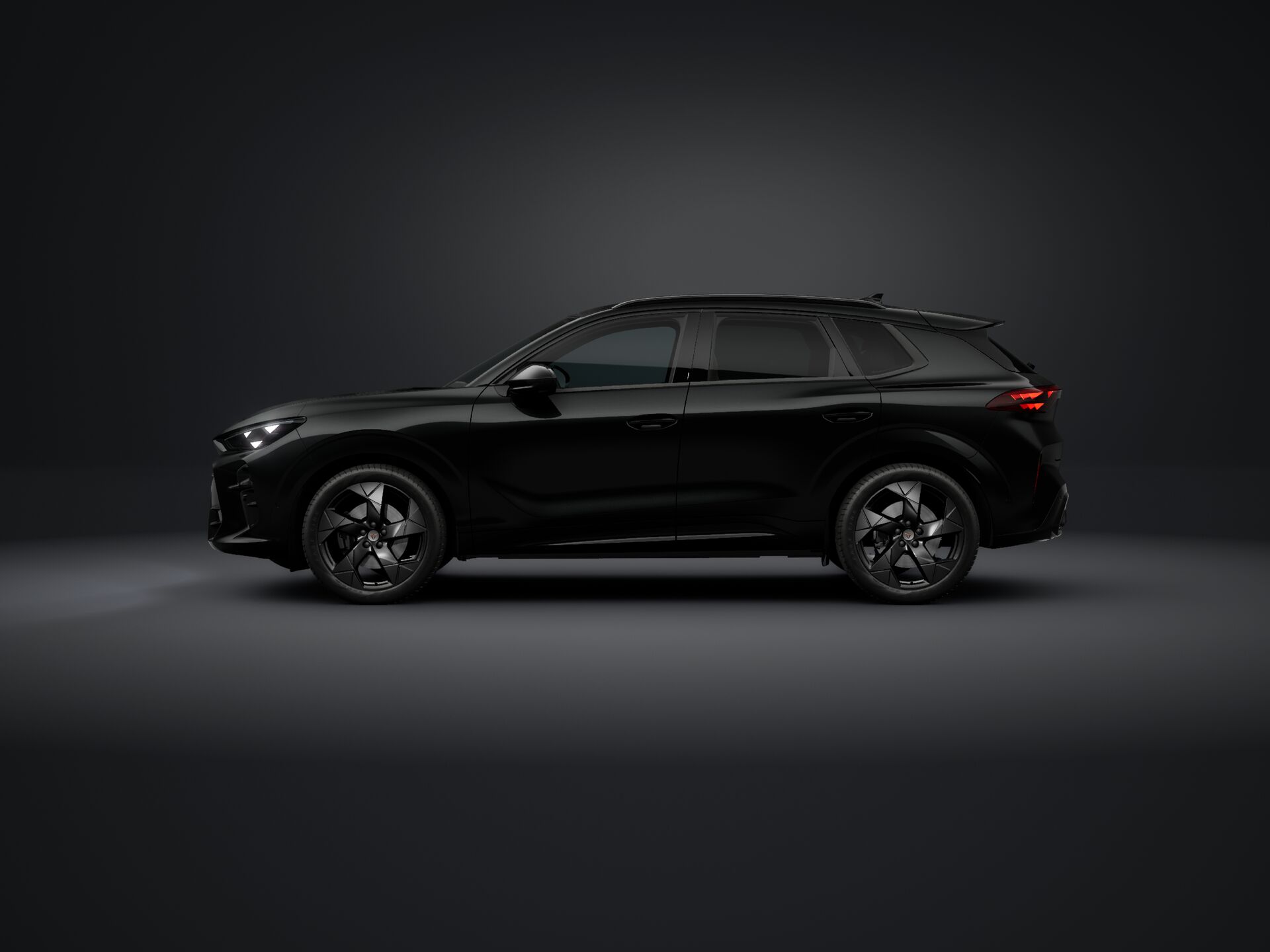 Obrázek Terramar Tribe 2.0 TSI 204k DSG 4WD