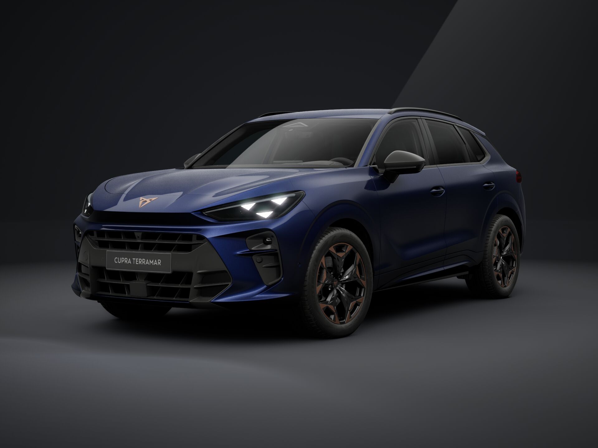 Obrázek Terramar 2.0 TSI 204k DSG 4WD