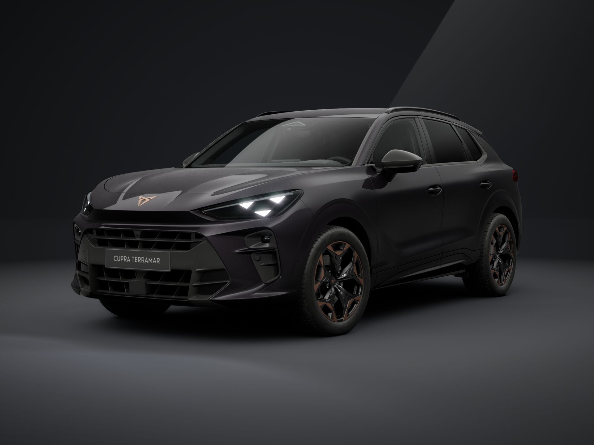 Obrázek Terramar VZ 2.0 TSI 265k DSG 4WD