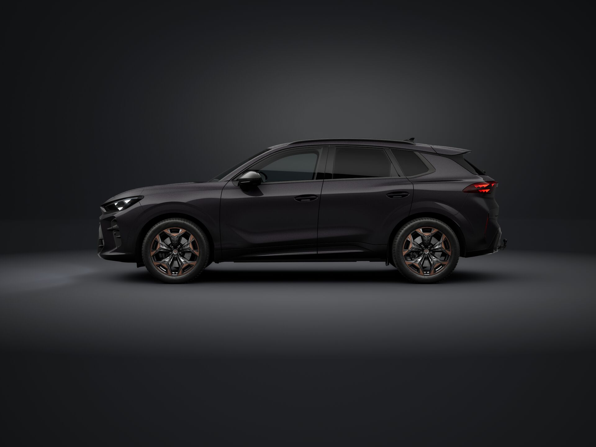 Obrázek Terramar VZ 2.0 TSI 265k DSG 4WD