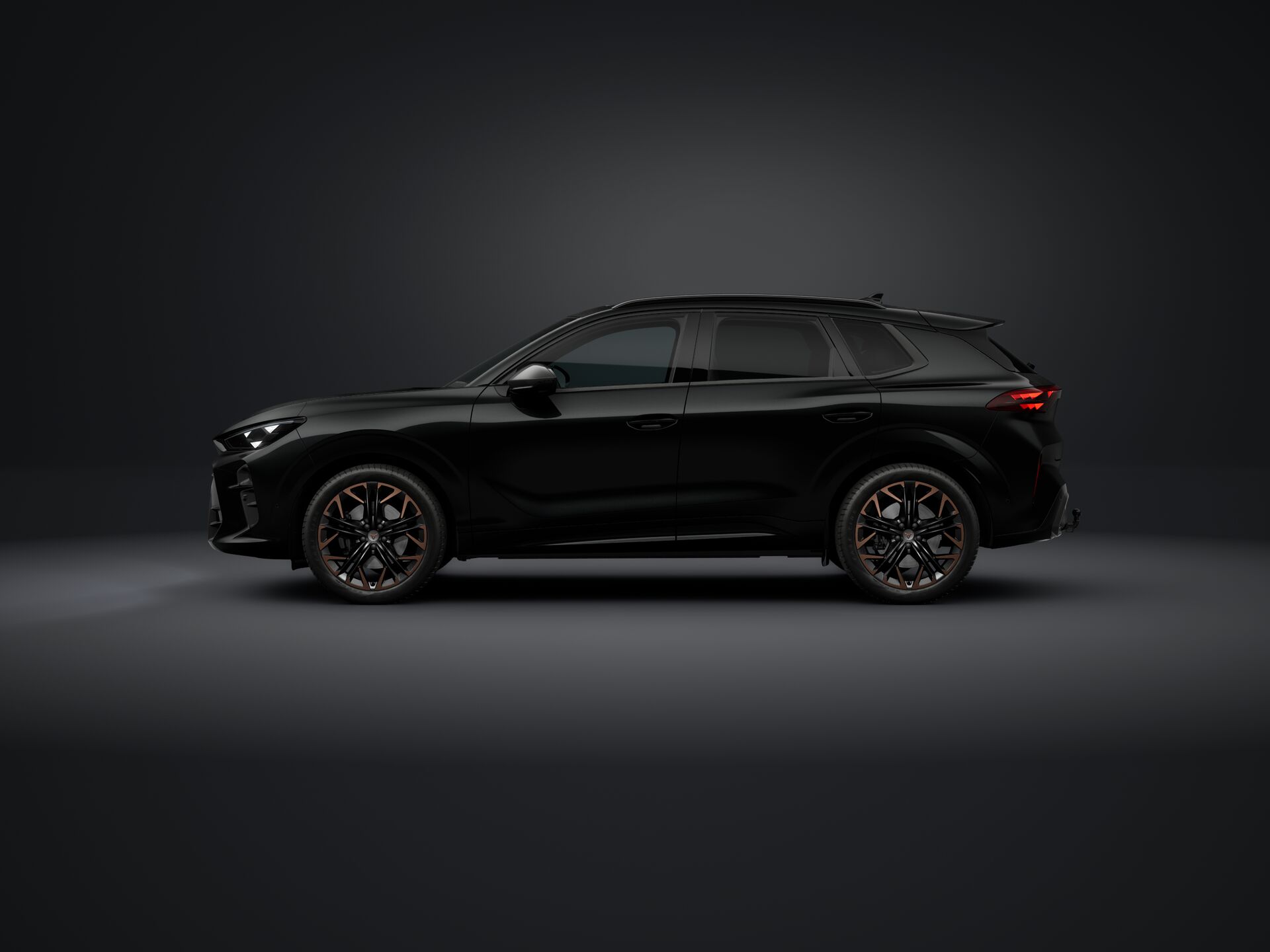 Obrázek Terramar VZ 2.0 TSI 265k DSG 4WD