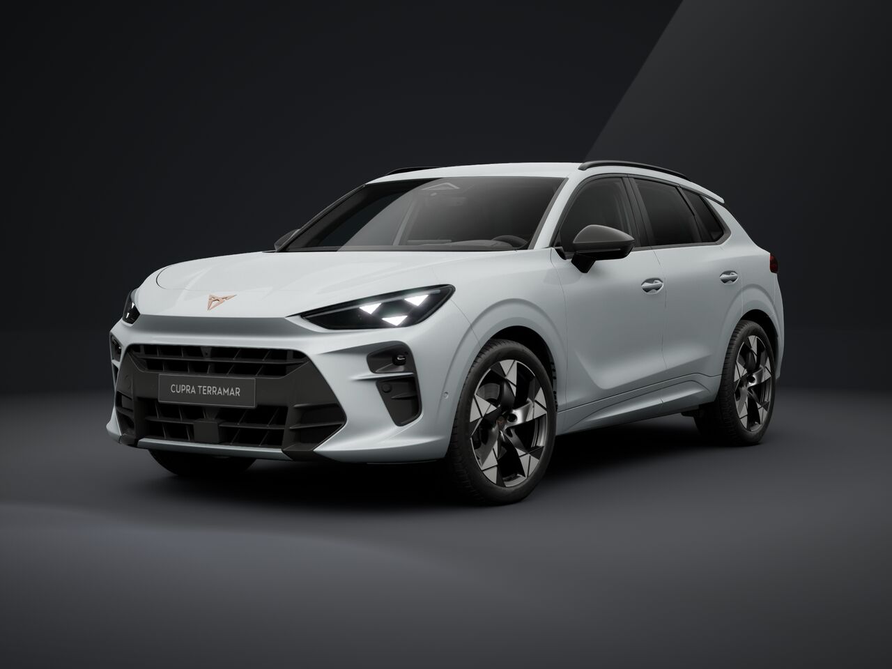 Obrázek Terramar VZ 2.0 TSI 265k DSG 4WD