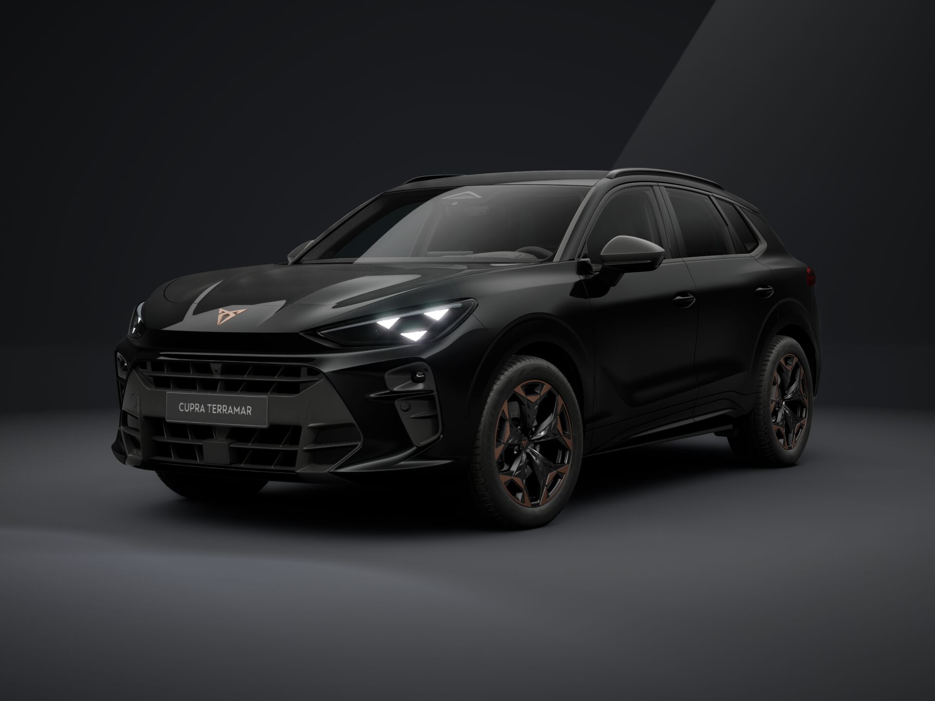 Obrázek Terramar VZ 2.0 TSI 265k DSG 4WD
