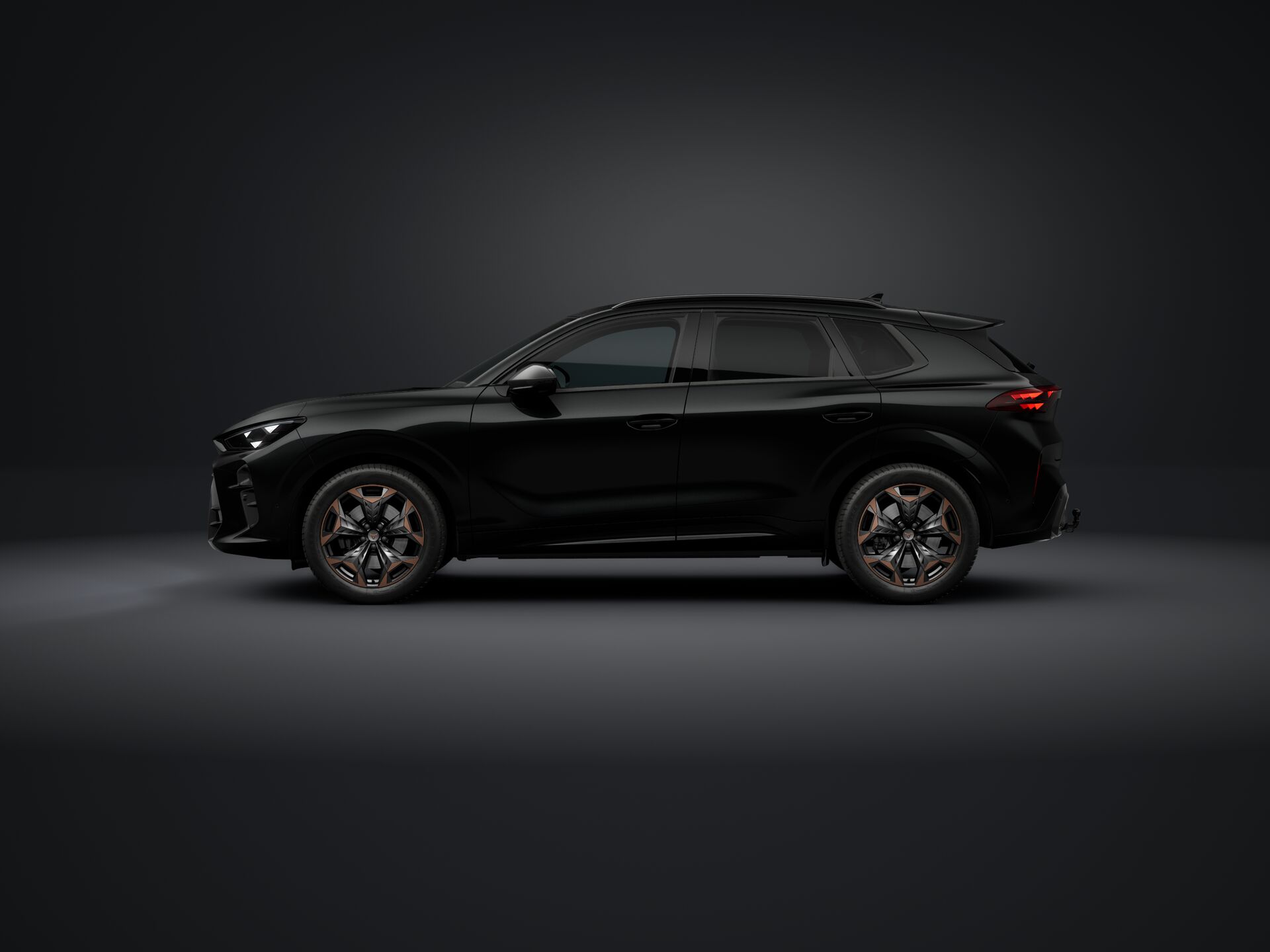 Obrázek Terramar VZ 2.0 TSI 265k DSG 4WD
