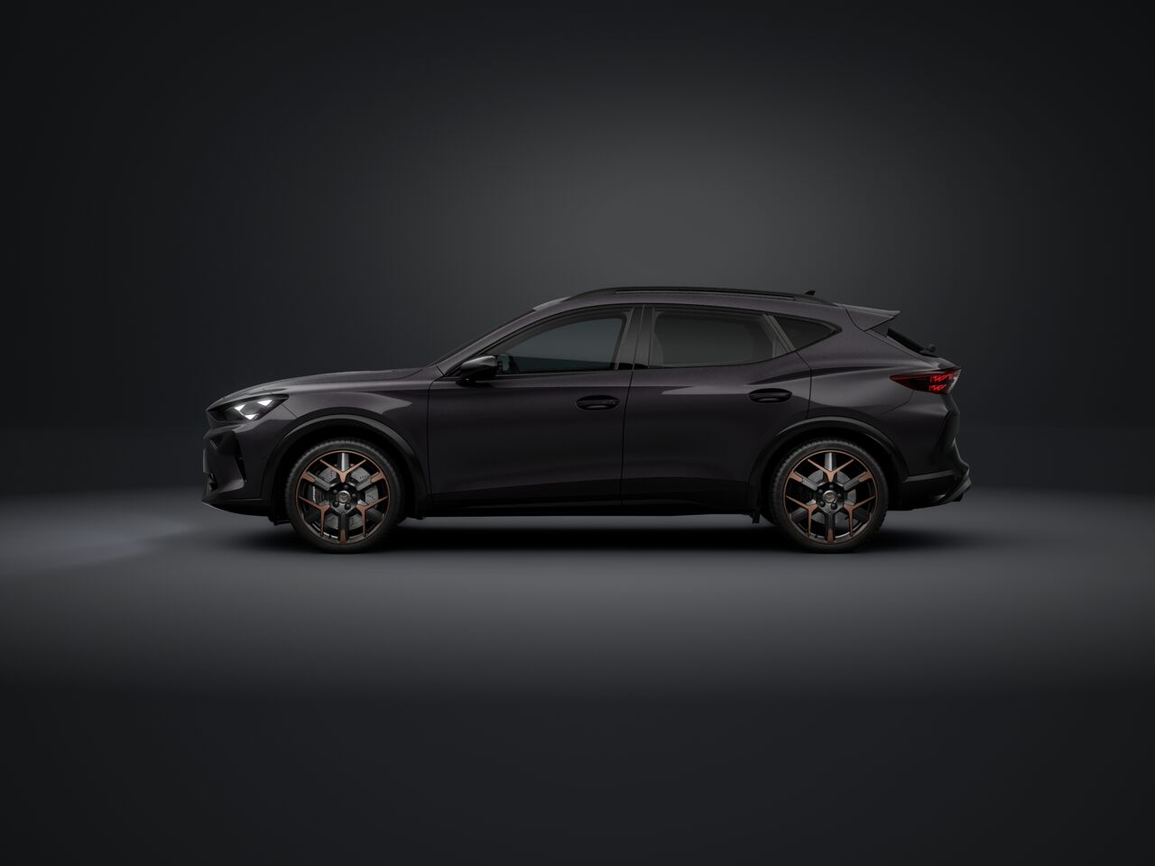 Obrázek Formentor VZ 2.0 TSI 333k DSG 4WD