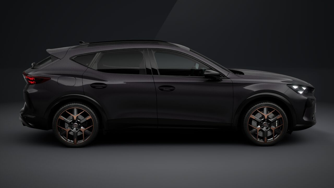 Obrázek Formentor VZ 2.0 TSI 333k DSG 4WD