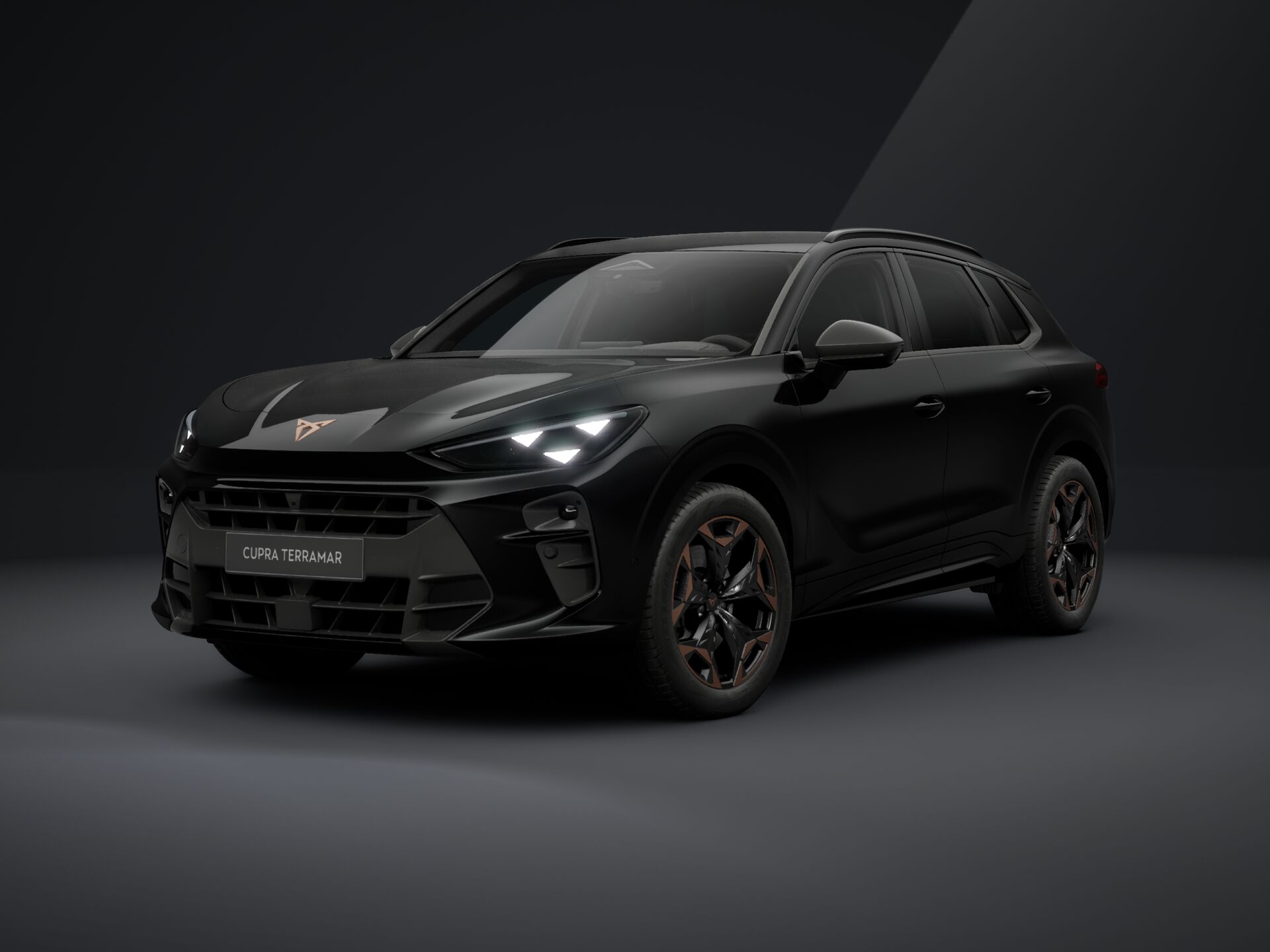Obrázek Terramar 2.0 TSI 204k DSG 4WD