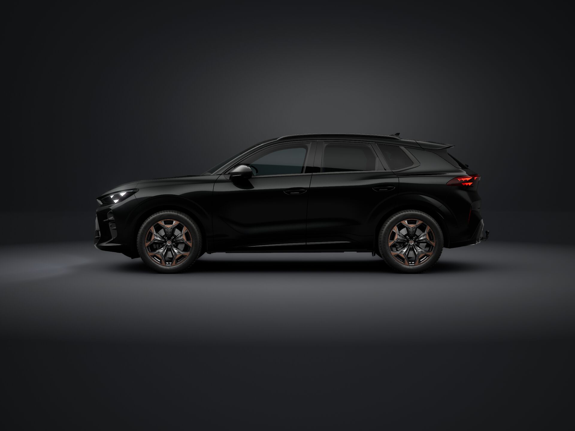 Obrázek Terramar 2.0 TSI 204k DSG 4WD