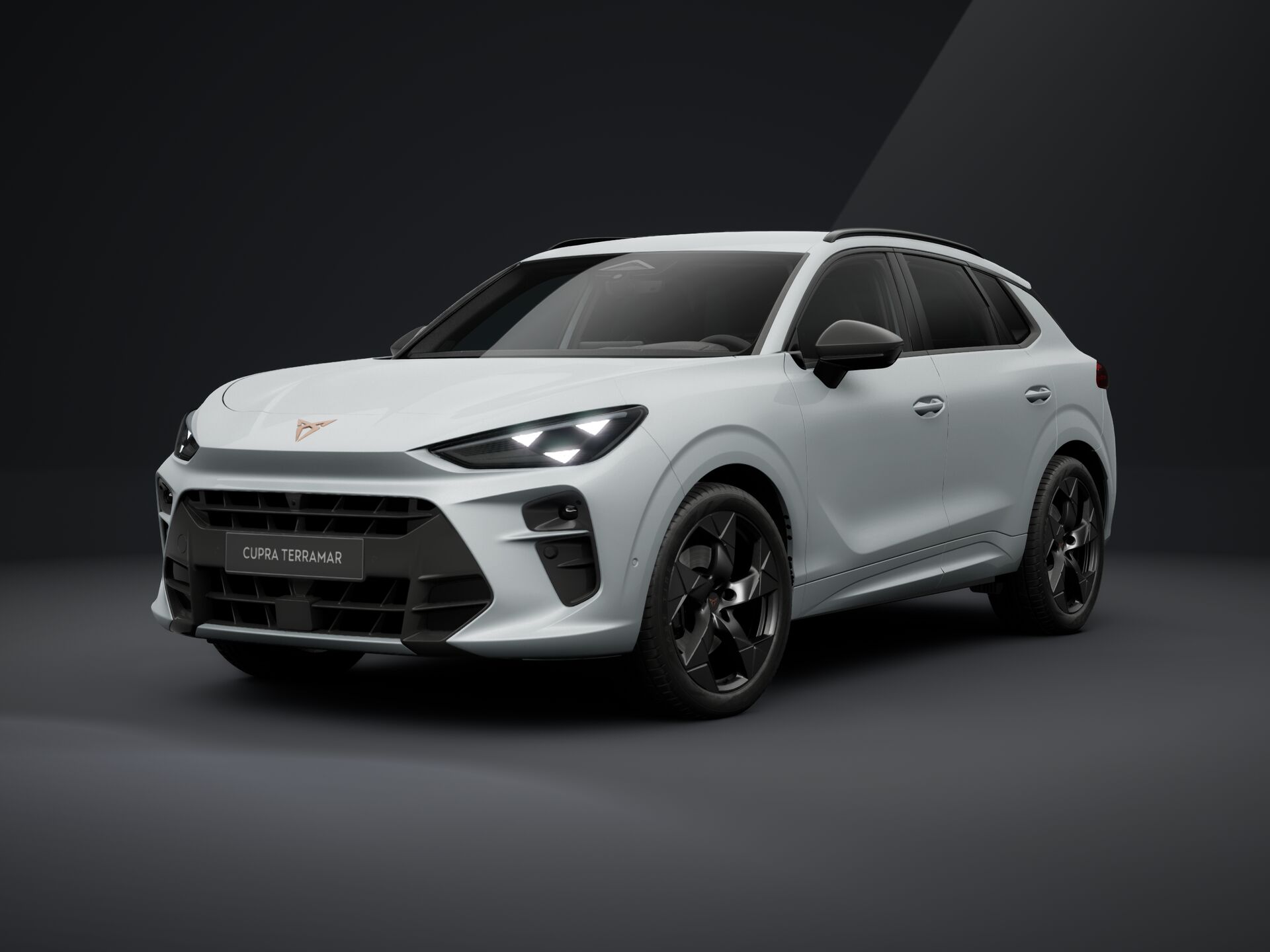 Obrázek Terramar 2.0 TSI 204k DSG 4WD
