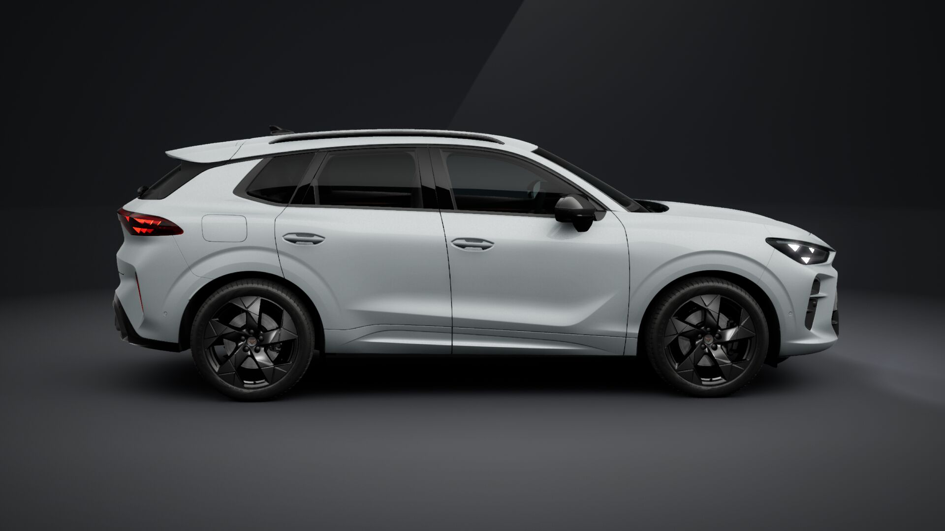 Obrázek Terramar 2.0 TSI 204k DSG 4WD