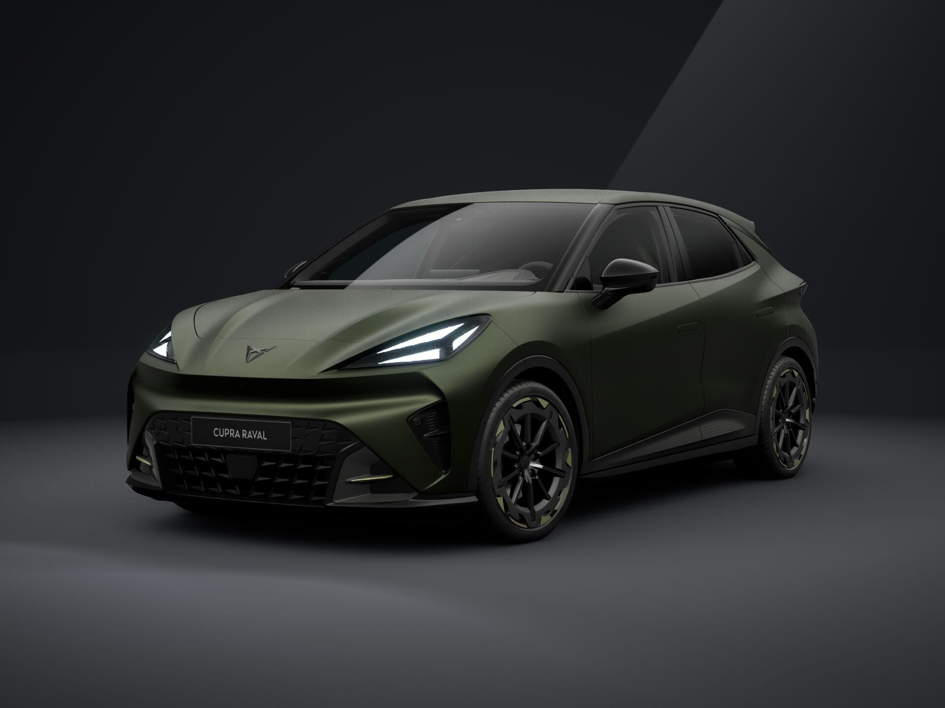 Obrázek Raval VZ 55,2 kWh/225k