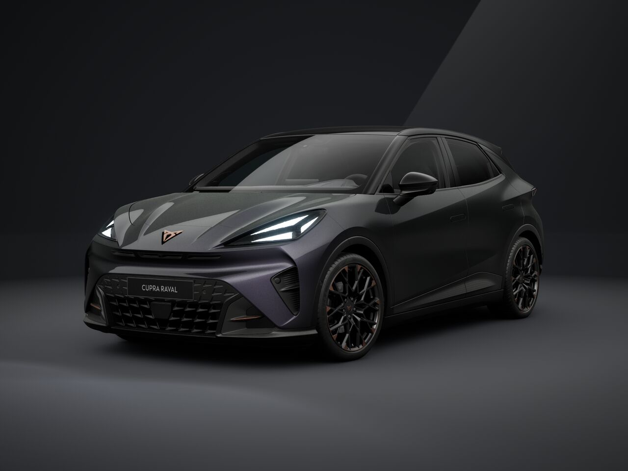 Obrázek Raval VZ 55,2 kWh/225k
