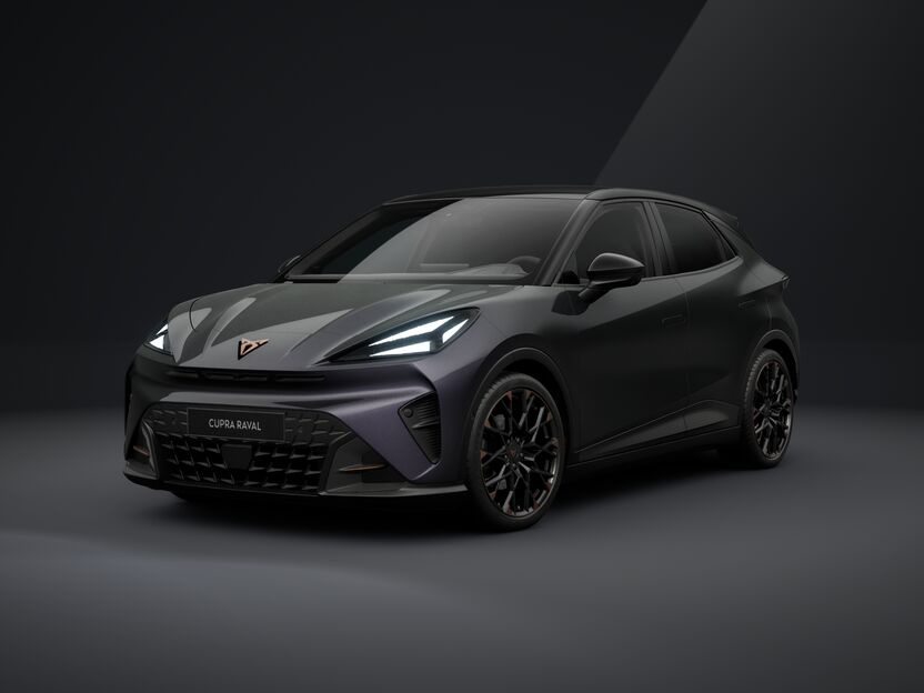 Obrázek Raval VZ 55,2 kWh/225k