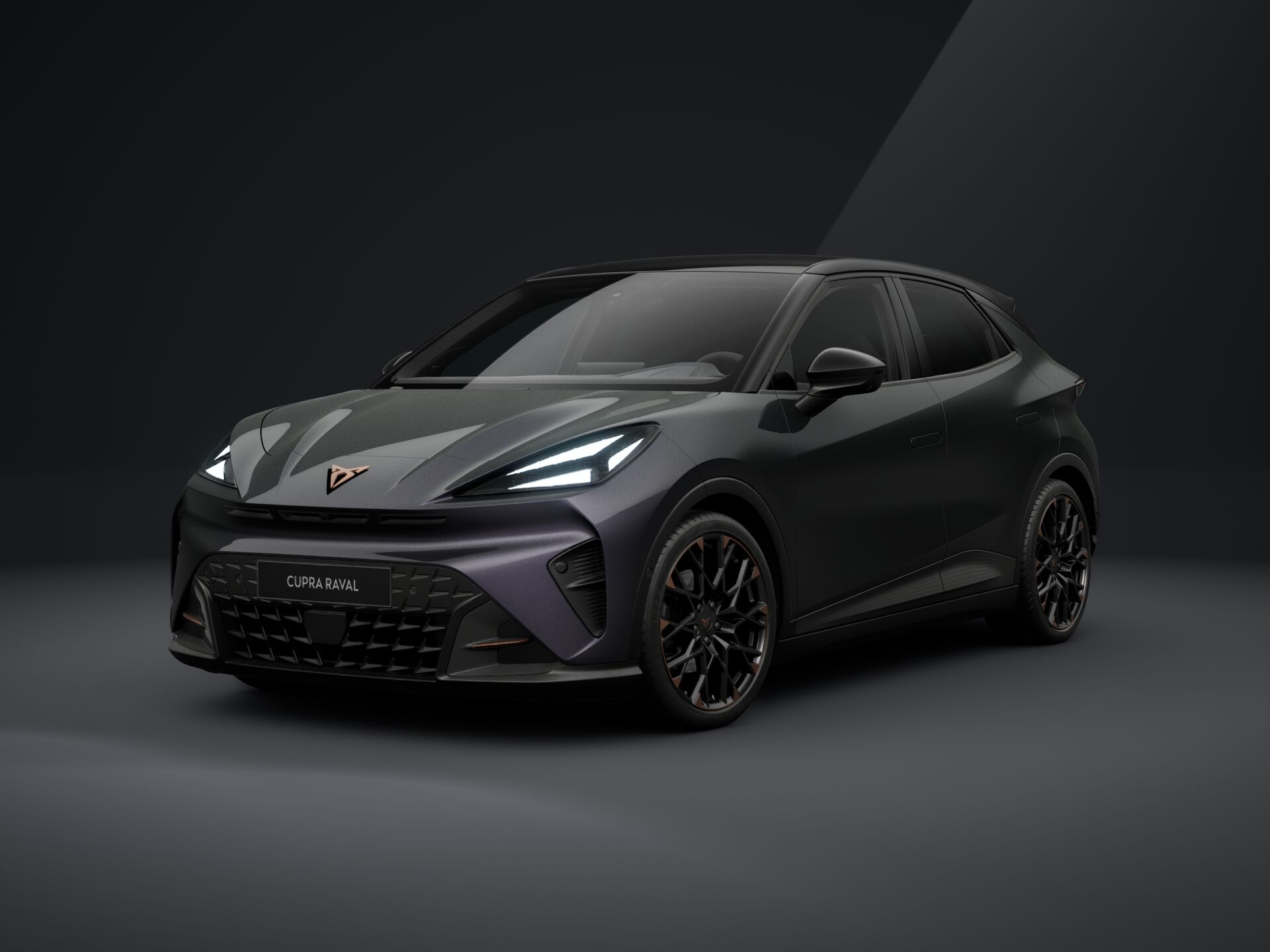 Obrázek Raval VZ 55,2 kWh/225k