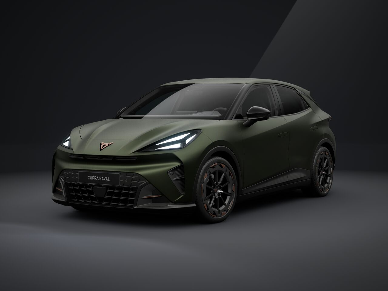 Obrázek Raval VZ 55,2 kWh/225k