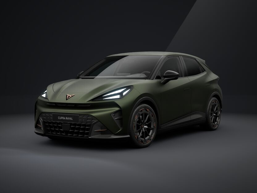 Obrázek Raval VZ 55,2 kWh/225k